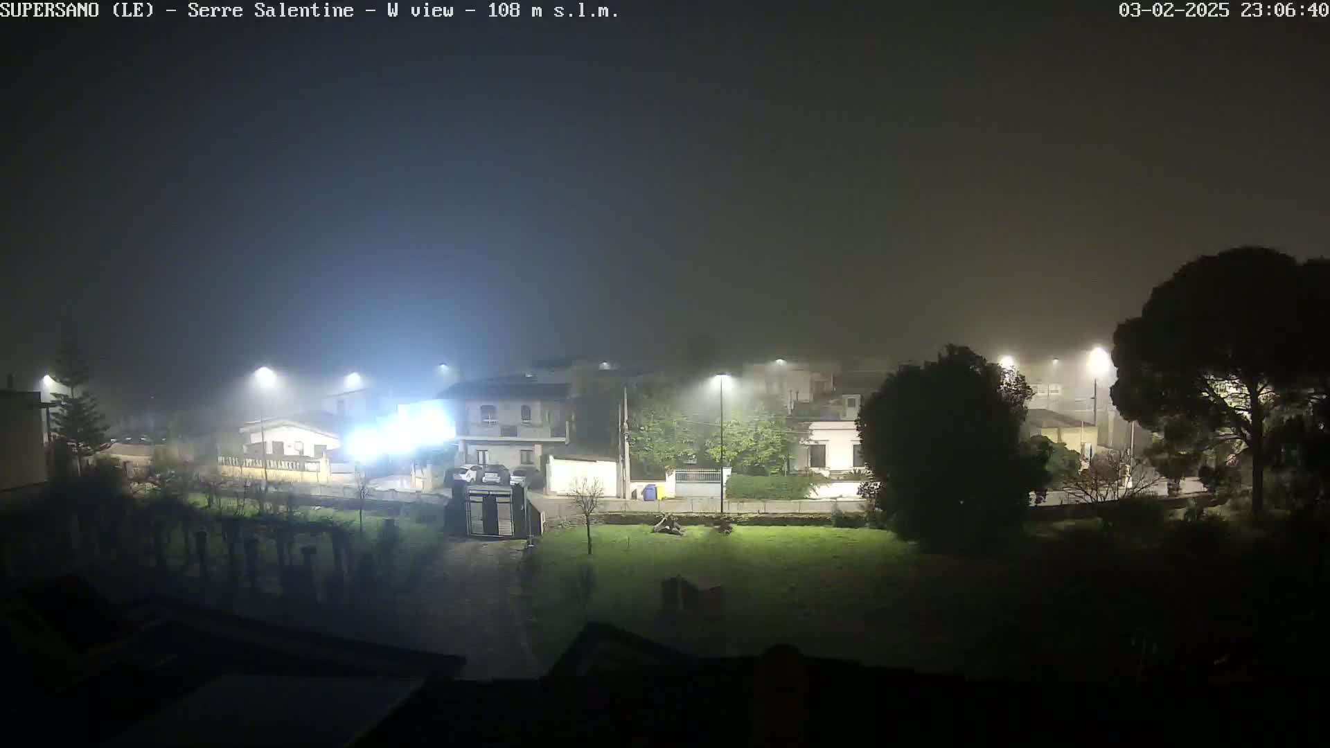 A foggy night scene shows a street lined with houses and illuminated by streetlights.