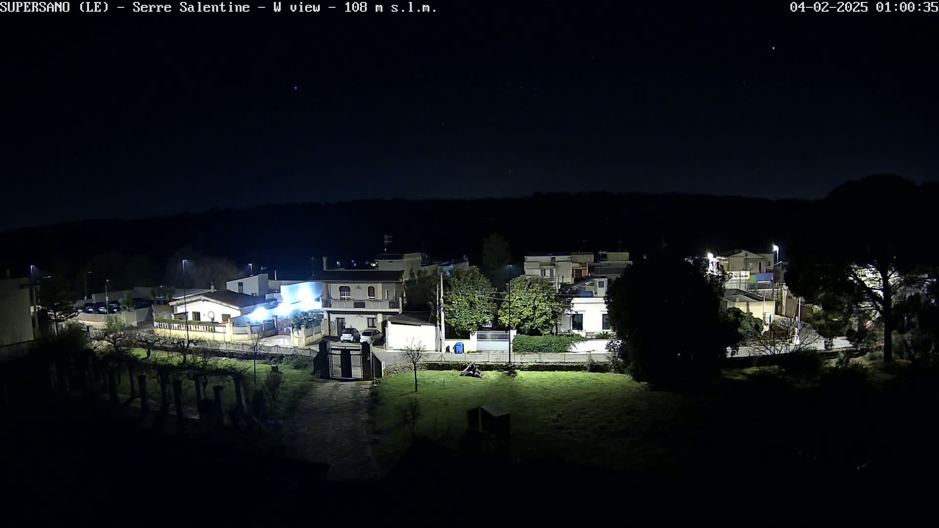 A nighttime, overhead view of a residential area with houses illuminated by streetlights under a clear, dark sky.