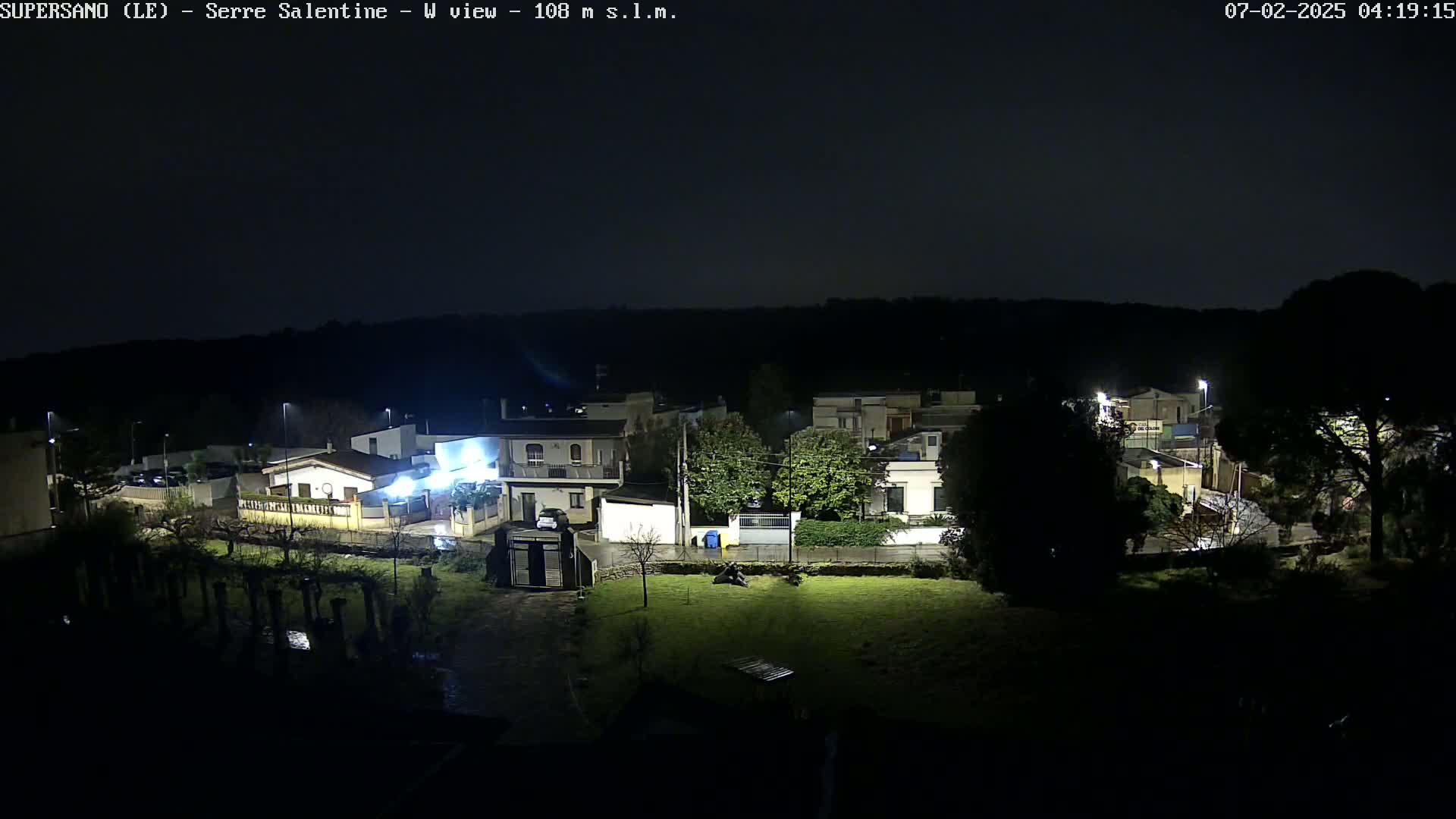 A nighttime view of a residential area with houses illuminated by streetlights under a dark, clear sky.
