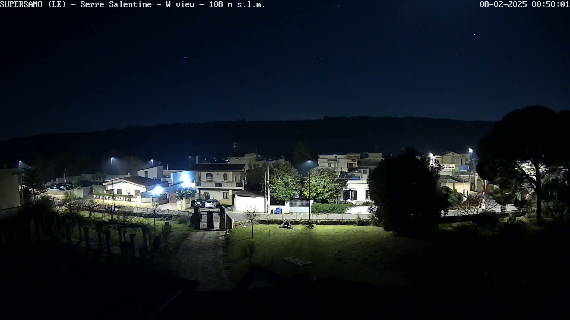 A nighttime view of a residential area with streetlights illuminating houses and trees under a clear, dark sky.