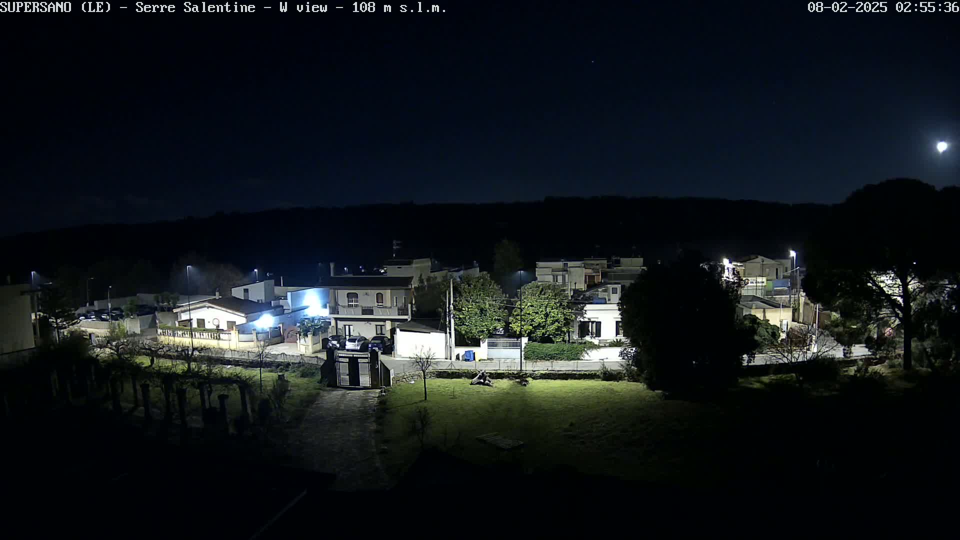 A nighttime view of a residential area with streetlights illuminating houses, trees, and a grassy yard under a clear, moonlit sky.