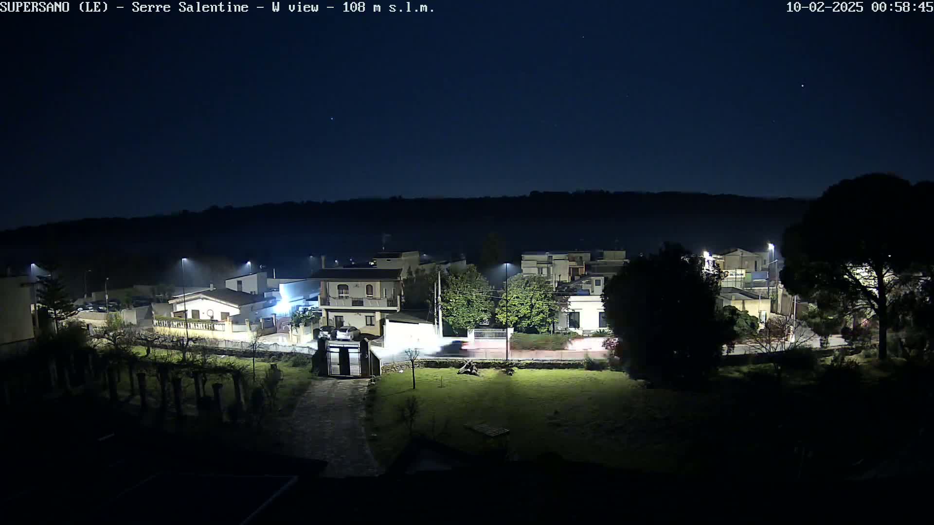 A nighttime view of a residential area with streetlights illuminating houses and trees under a clear, dark sky.