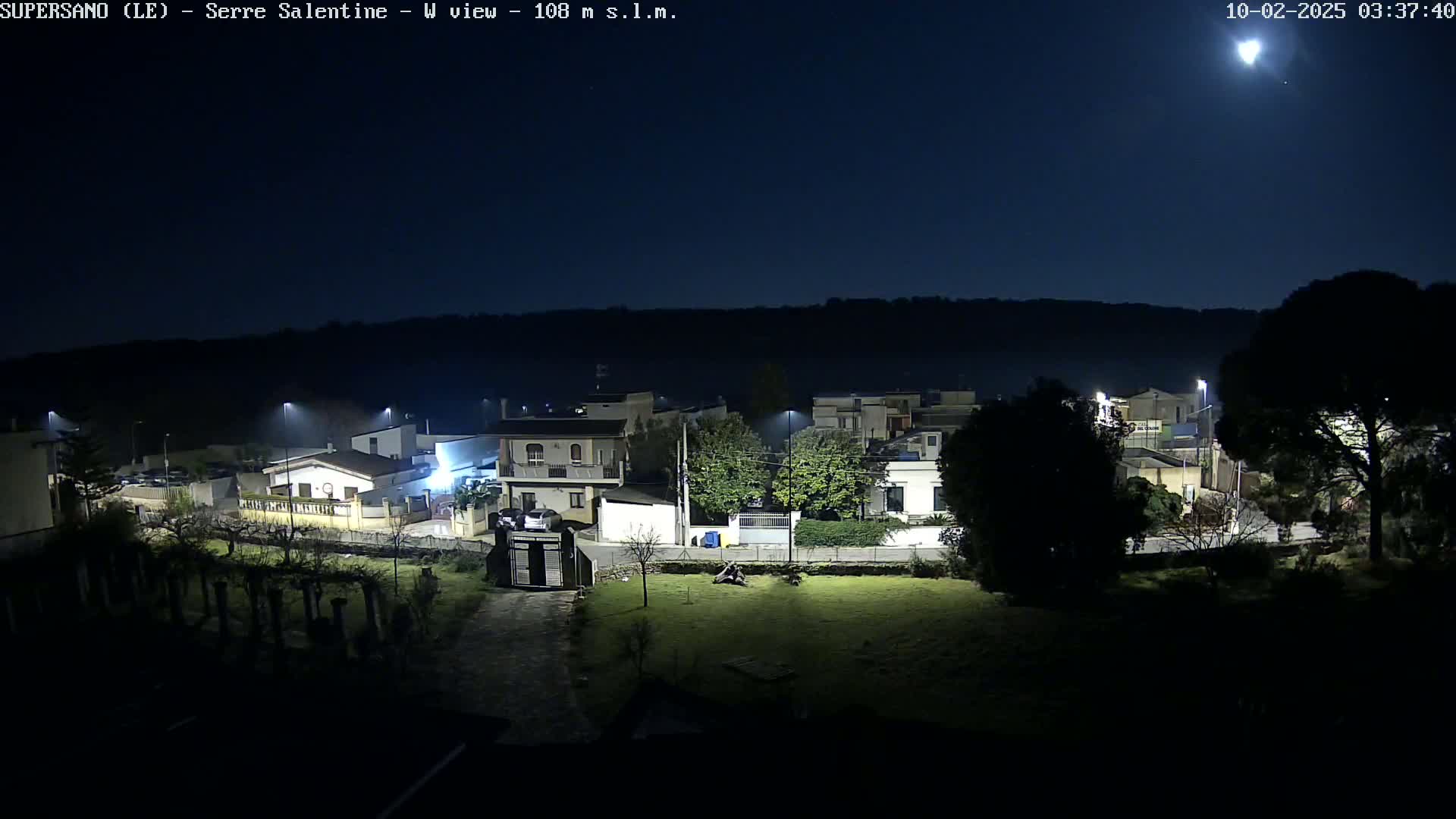 A nighttime view of a residential area under a clear, moonlit sky, showing houses, streetlights, and trees.