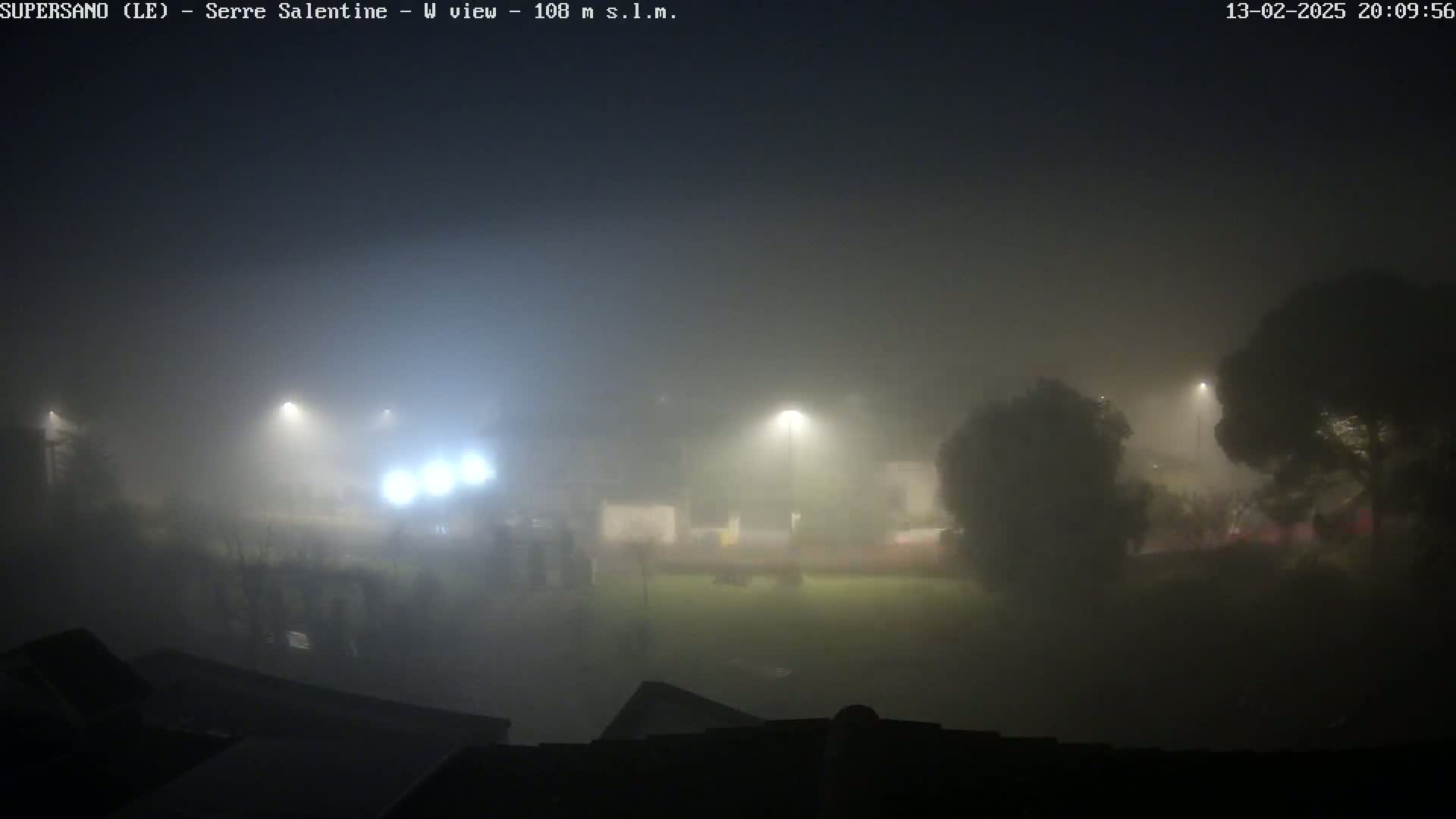 A nighttime, foggy scene shows dimly lit trees and buildings, with a few streetlights visible through the dense fog.