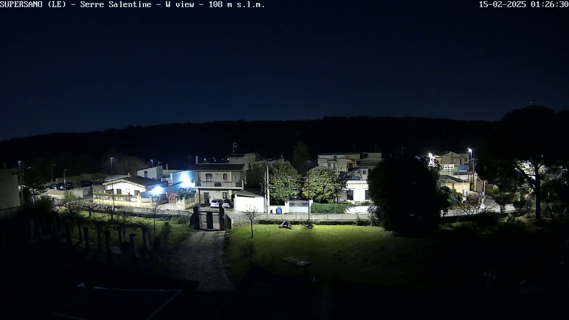 A nighttime view of a residential area with houses illuminated by streetlights under a clear, dark sky.