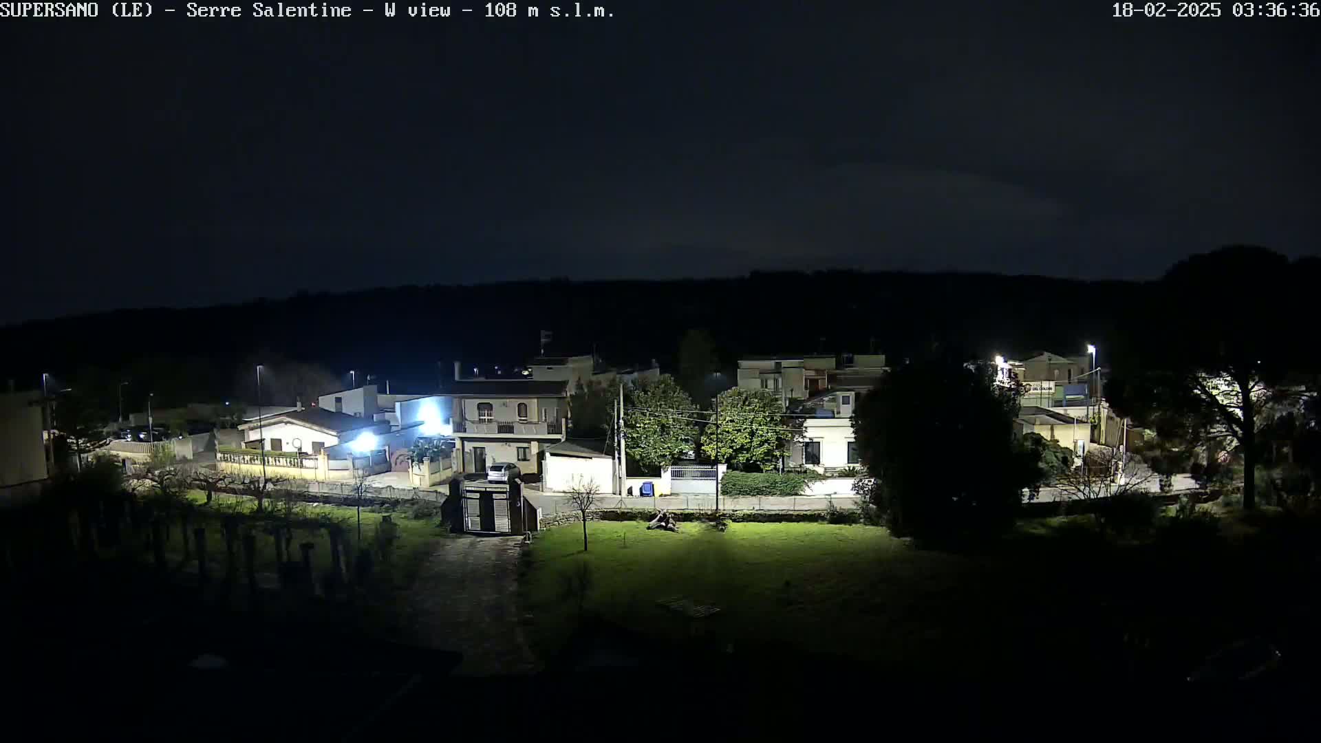 A nighttime view of a residential area illuminated by streetlights, under a dark, mostly clear sky.