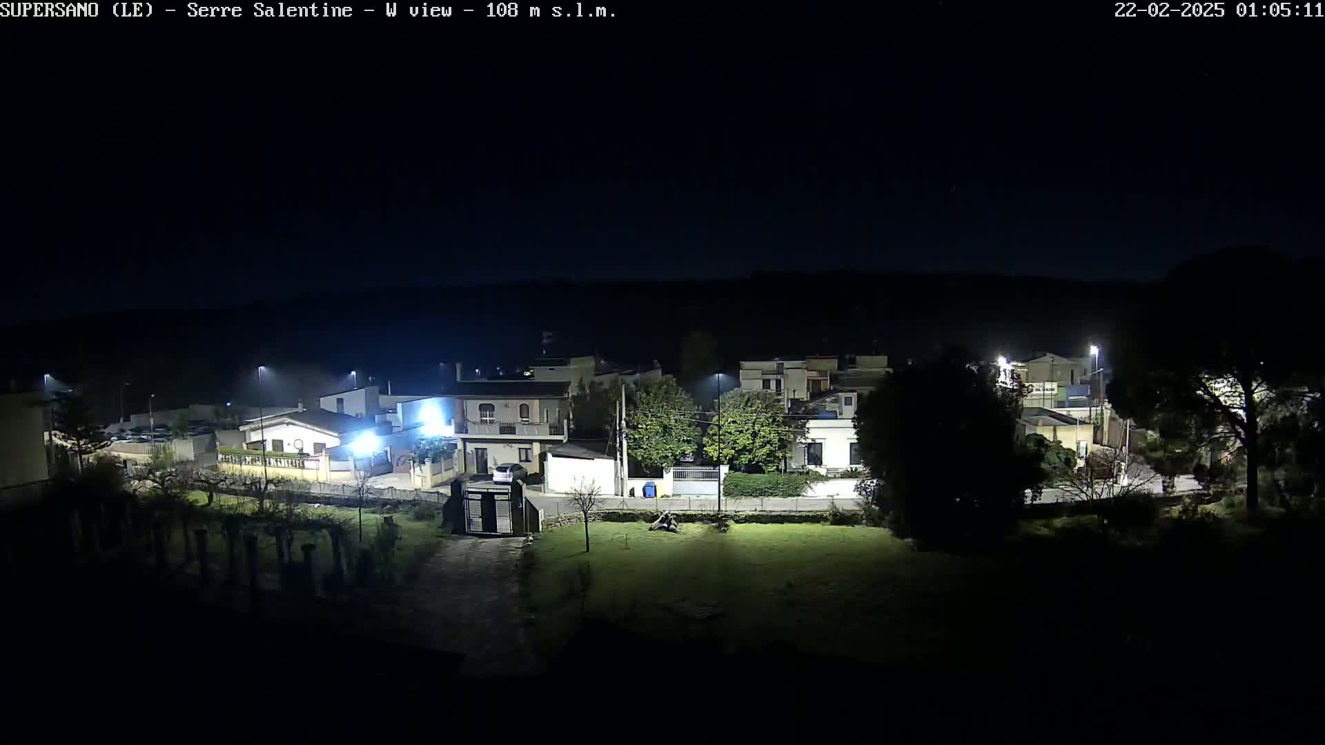 A nighttime view of a residential area, illuminated by streetlights, under a clear, dark sky.