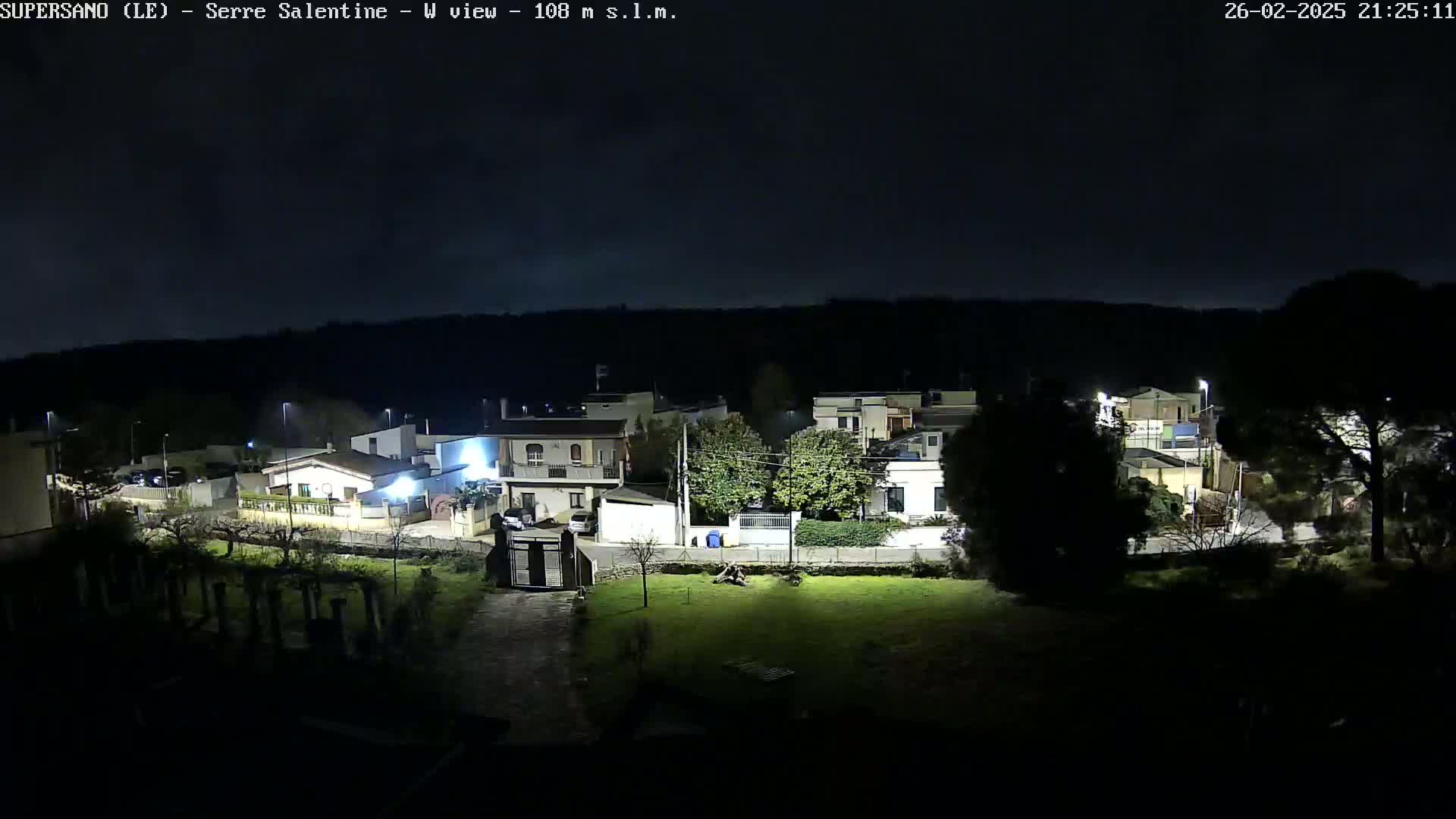 A nighttime view of a residential area with houses illuminated by streetlights under a dark, clear sky.