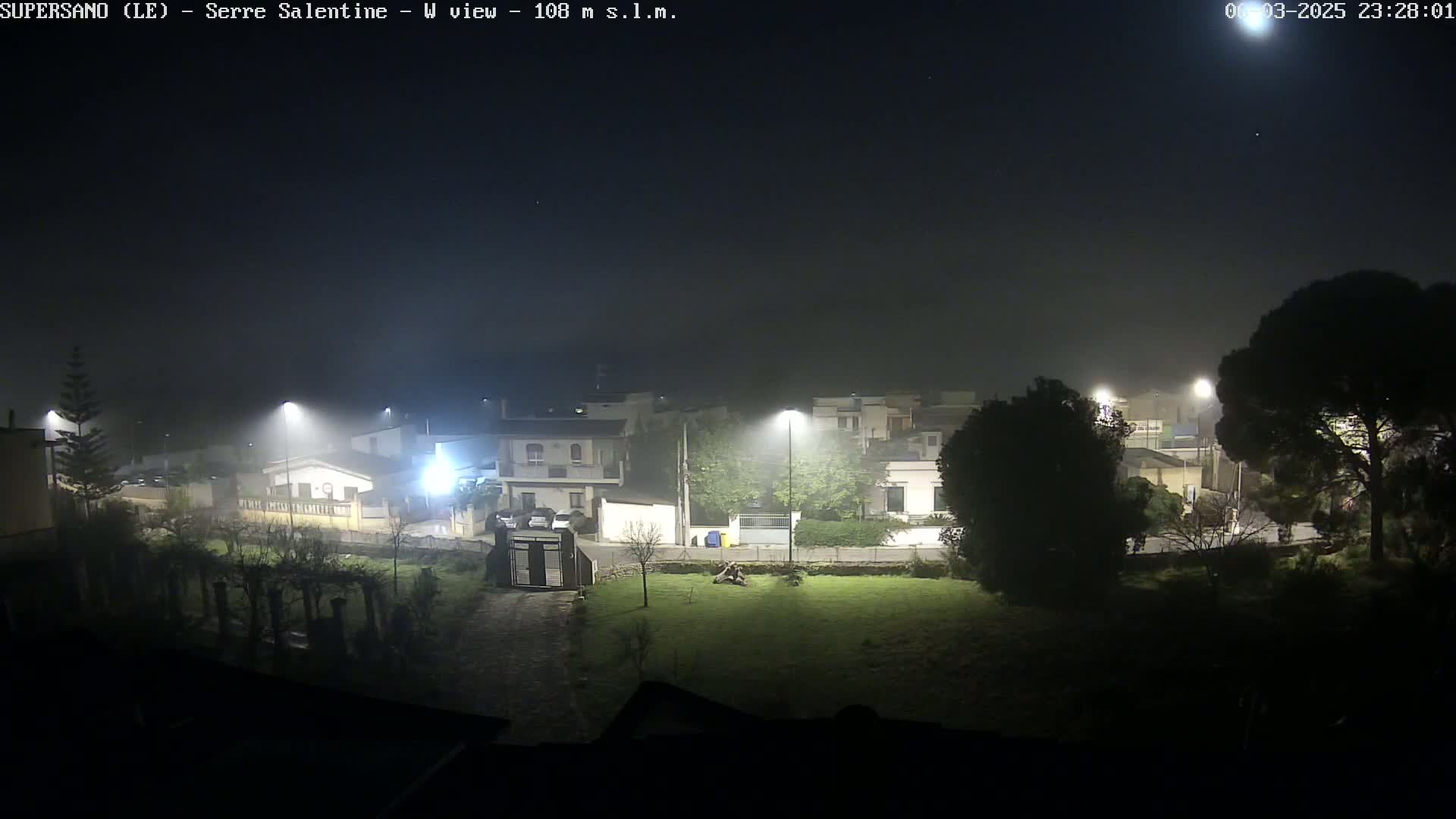 A foggy night scene shows a residential area with streetlights illuminating houses and trees.