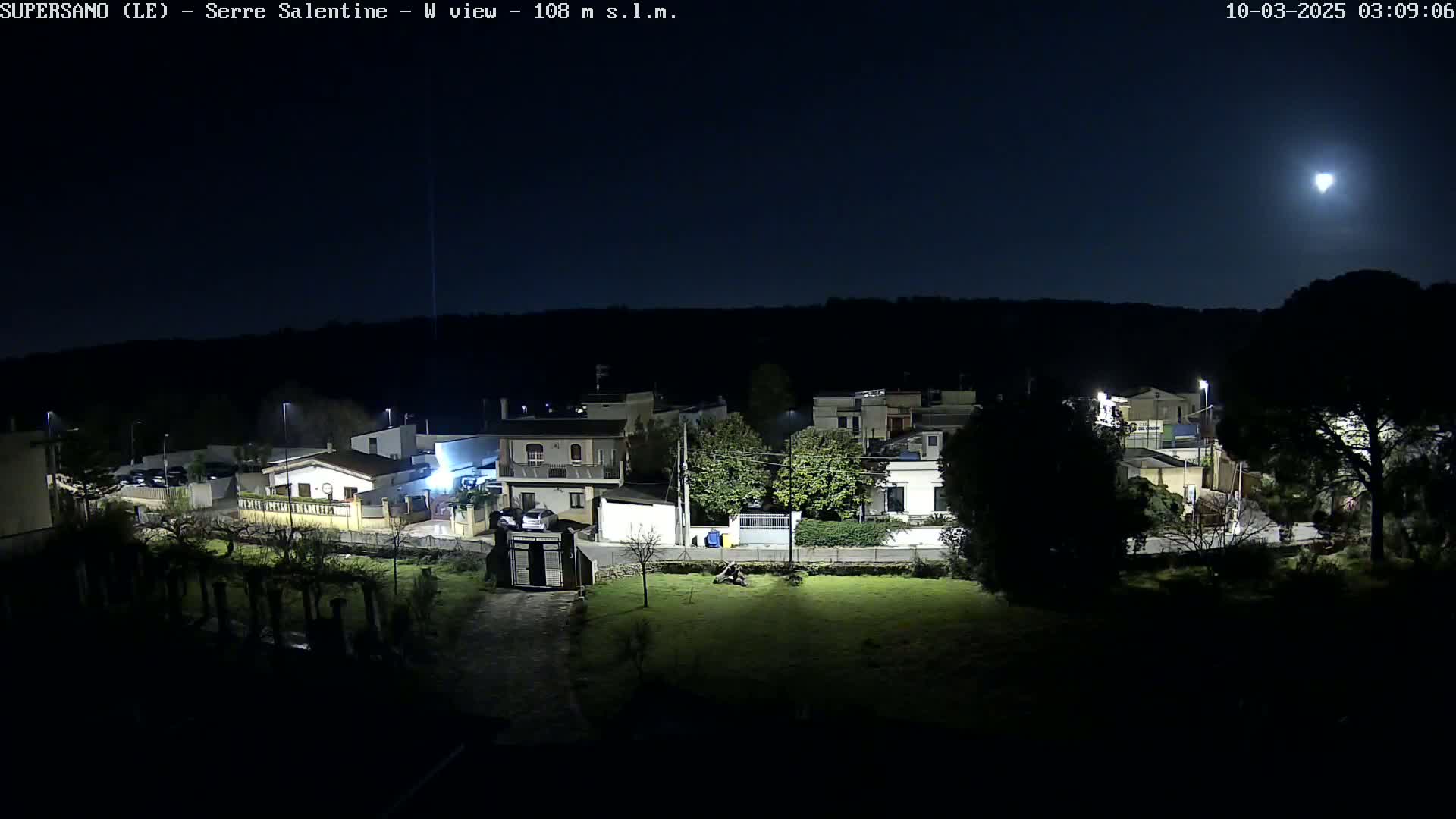A moonlit night scene shows a residential area with houses and streetlights, bordered by dark trees and a grassy area.