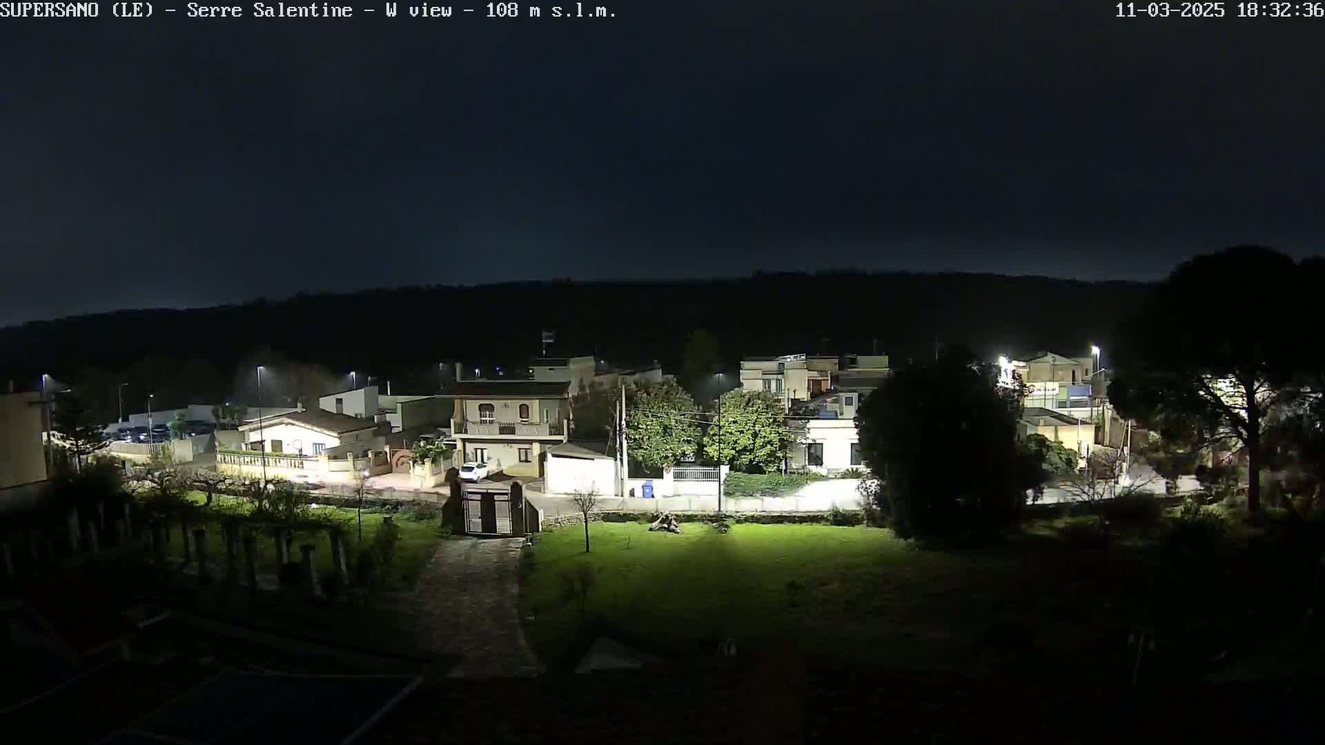 A nighttime view of a residential area, illuminated by streetlights, under a dark, clear sky.