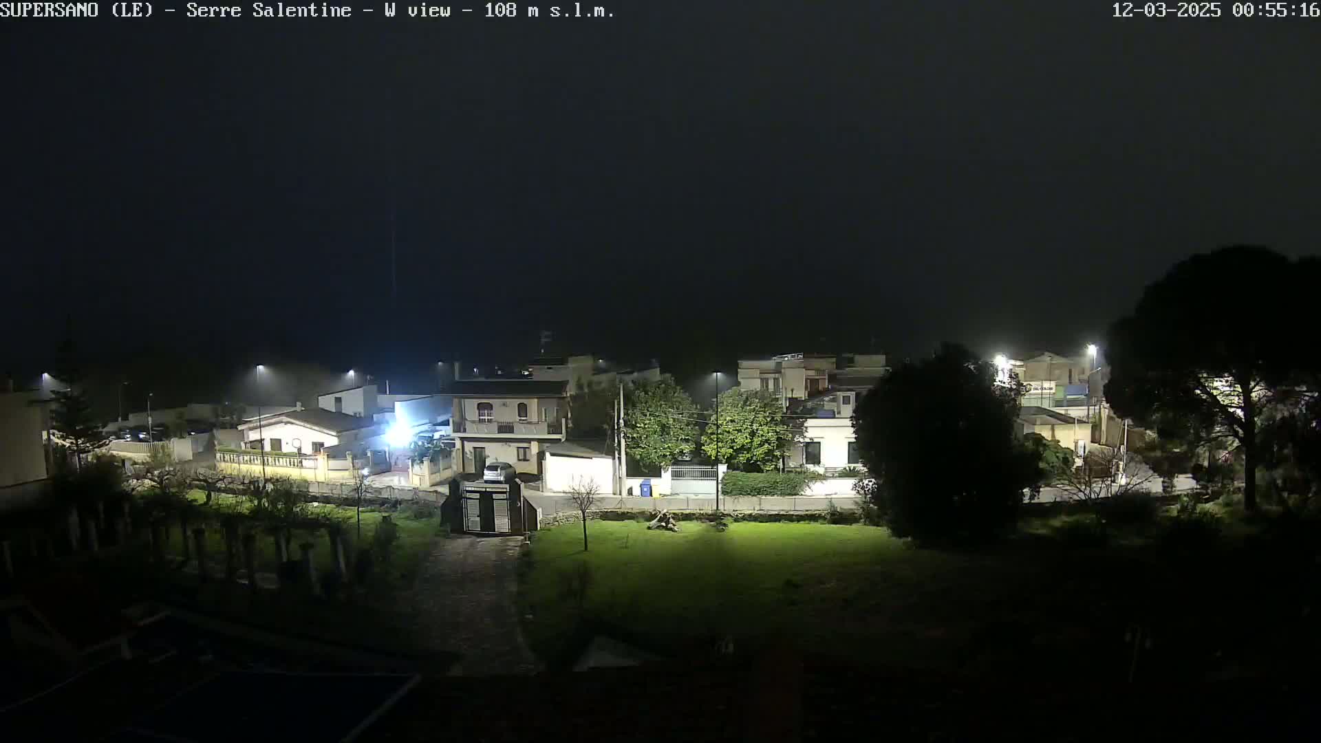A nighttime, foggy view of a residential area with houses and streetlights illuminated.