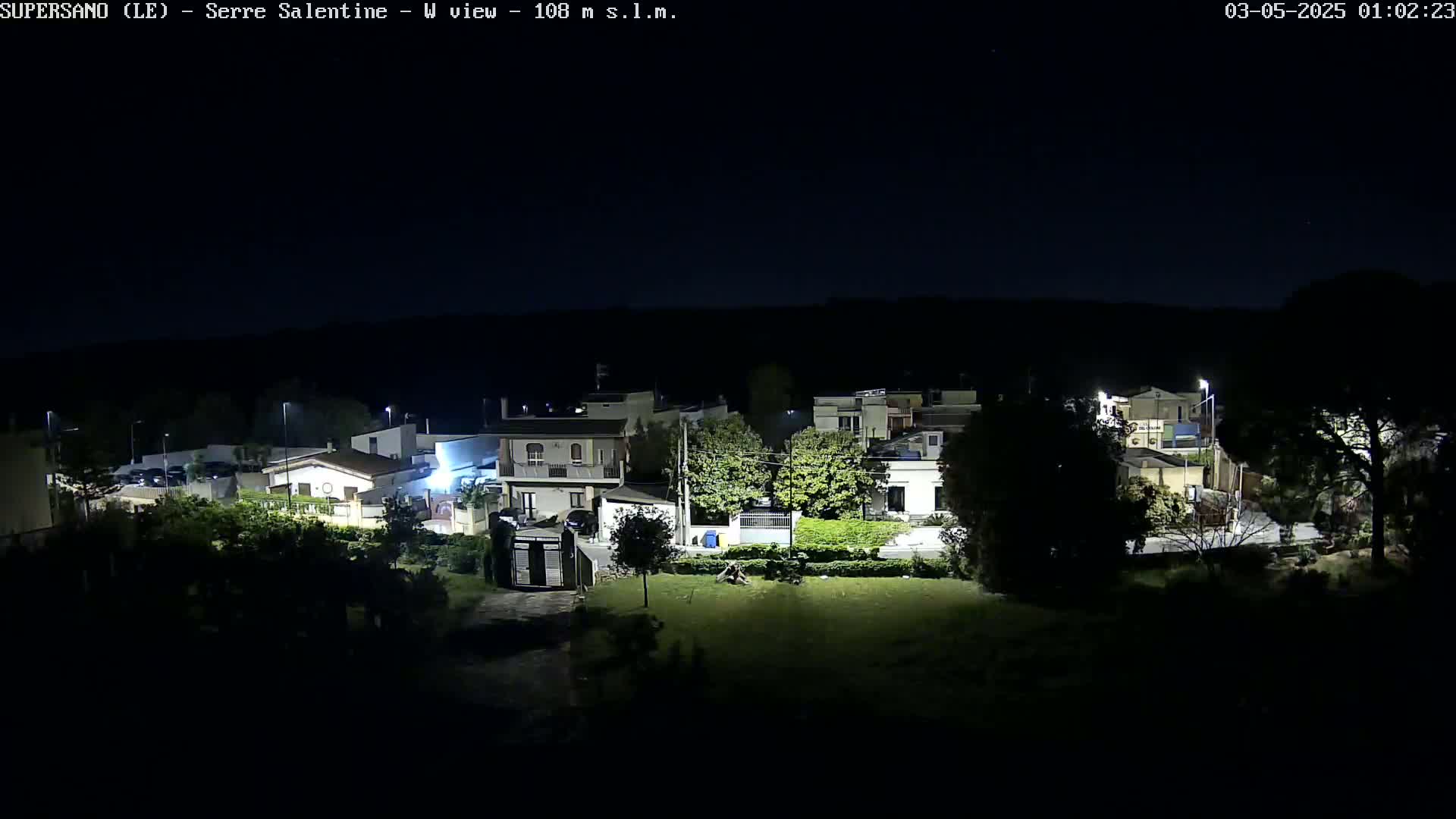 A nighttime view of a residential area with streetlights illuminating houses and trees under a clear, dark sky.