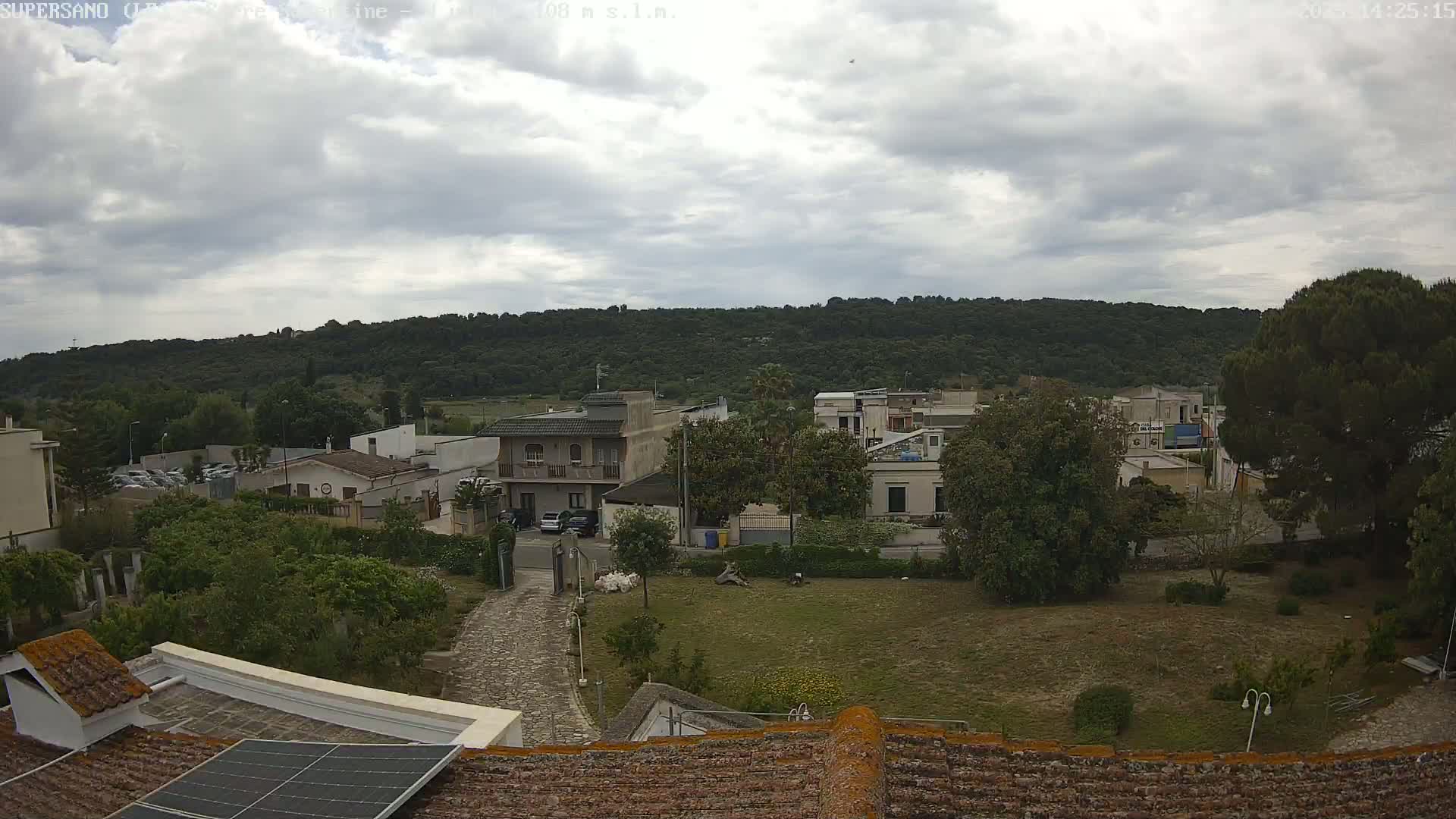A view from a rooftop shows a stone path leading to a small town nestled against a tree-covered hill under a cloudy sky.