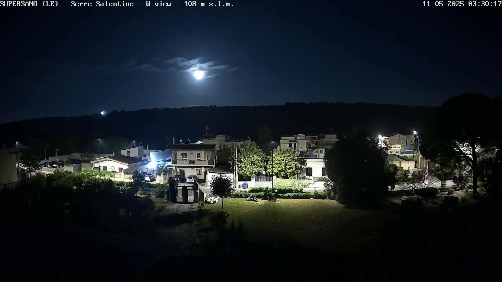 A nighttime view of a residential area under a bright moon and clear sky shows several houses and trees illuminated by streetlights.