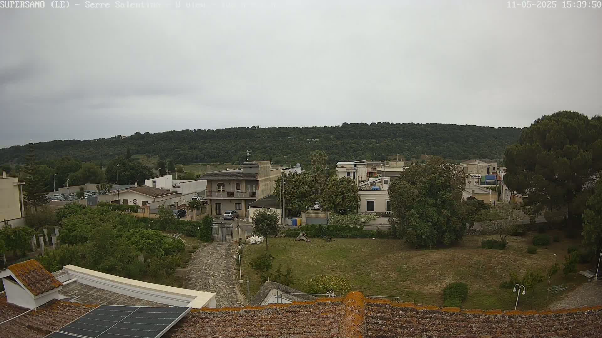 A view from a rooftop shows a residential area with low-rise buildings, green spaces, and a hill covered in trees under an overcast sky.