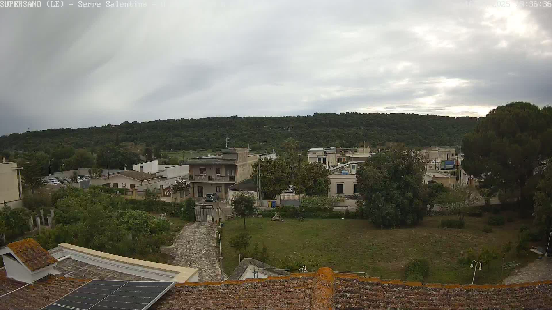 A view from a rooftop shows a residential area with overcast skies, featuring several buildings, green lawns, and trees, all nestled below a hill covered in dense foliage.