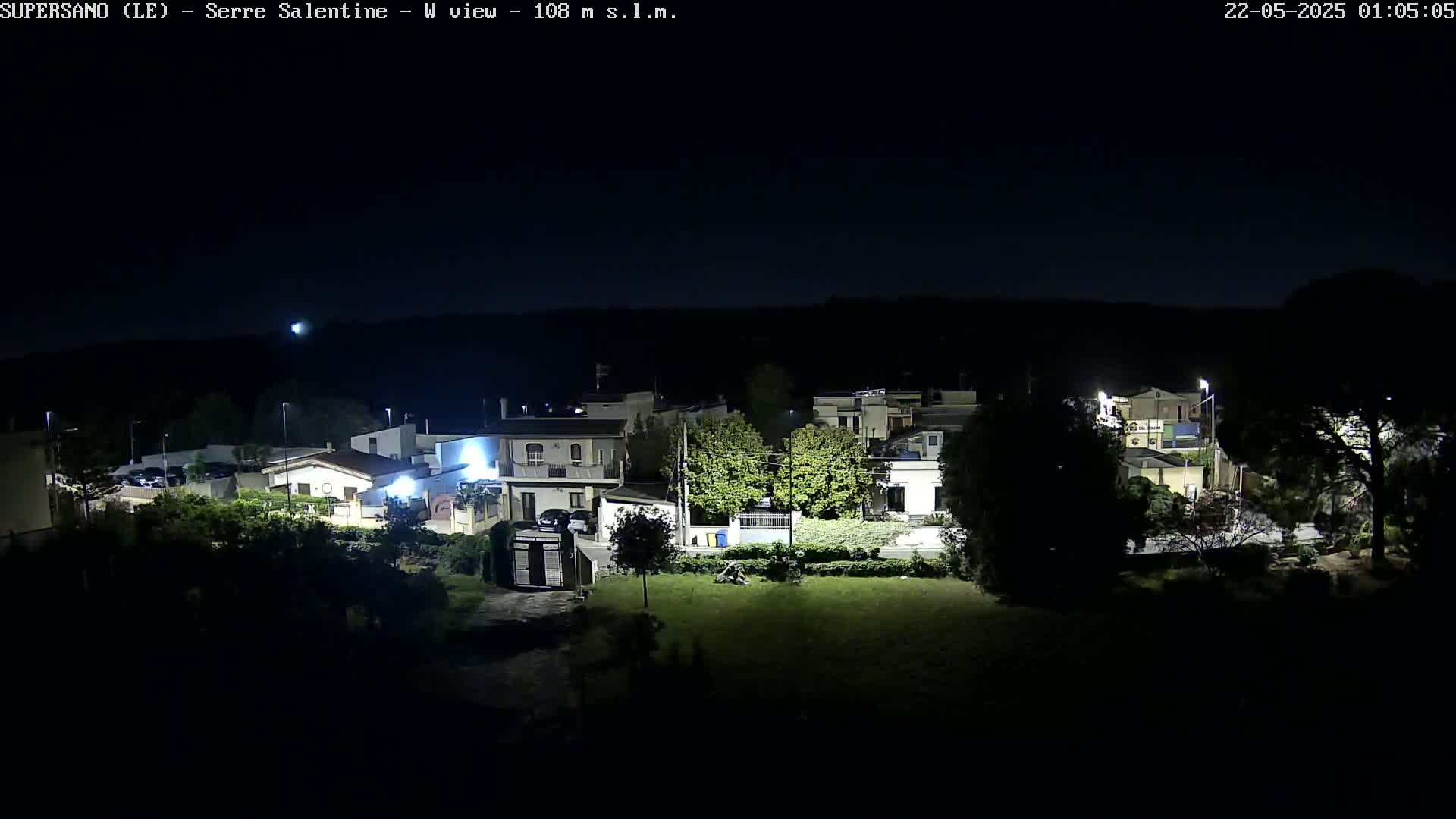 A nighttime view of a residential area with streetlights illuminating houses and trees under a clear, dark sky.
