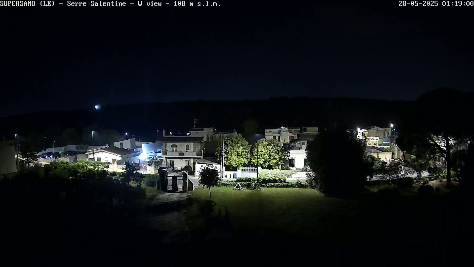 A nighttime view of a residential area with houses, trees, and streetlights under a clear, dark sky.