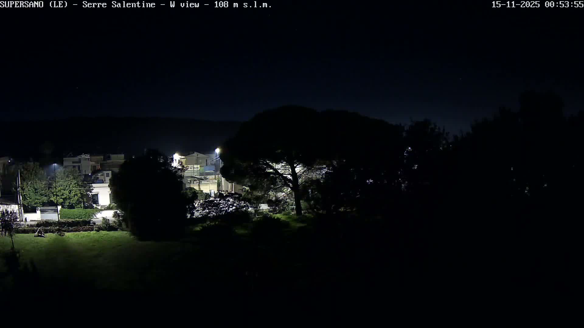 The image shows a dark outdoor scene at night, featuring a residential area with illuminated buildings and streetlights, a large tree, and a grassy foreground, all under clear skies.
