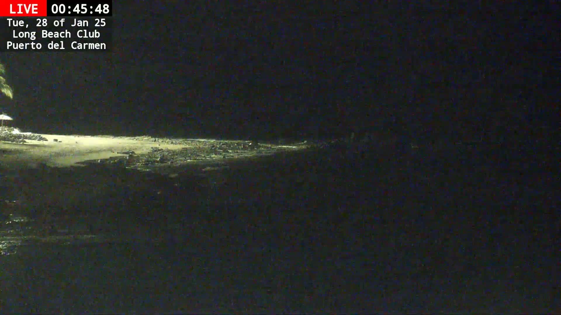 A dark, nighttime beach scene shows a dimly lit shoreline and ocean under a clear, starless sky.