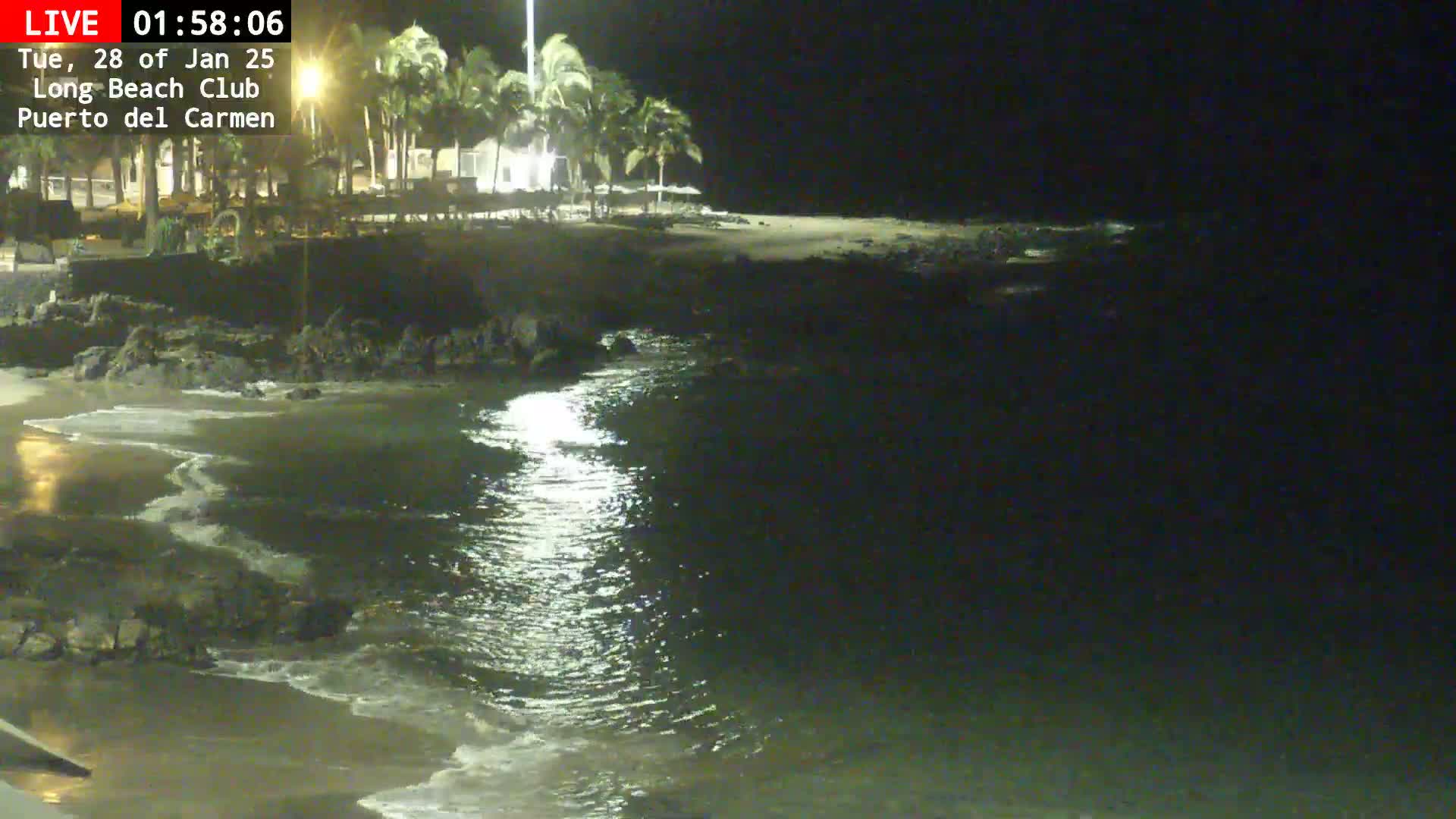 A nighttime beach scene shows a sandy shore with palm trees and a building in the background, gently lapping waves, and calm water reflecting light.