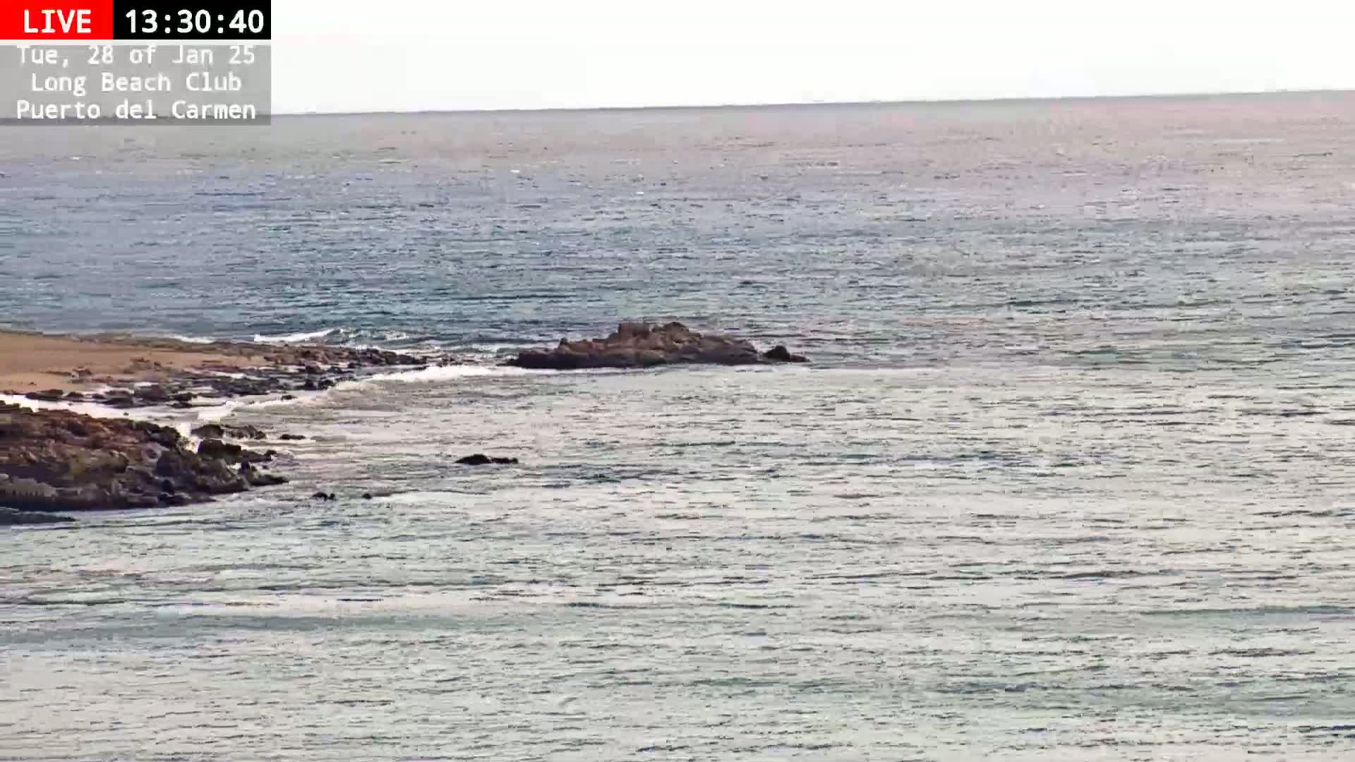 A rocky shoreline meets a calm, gray-blue ocean under a mostly clear sky.
