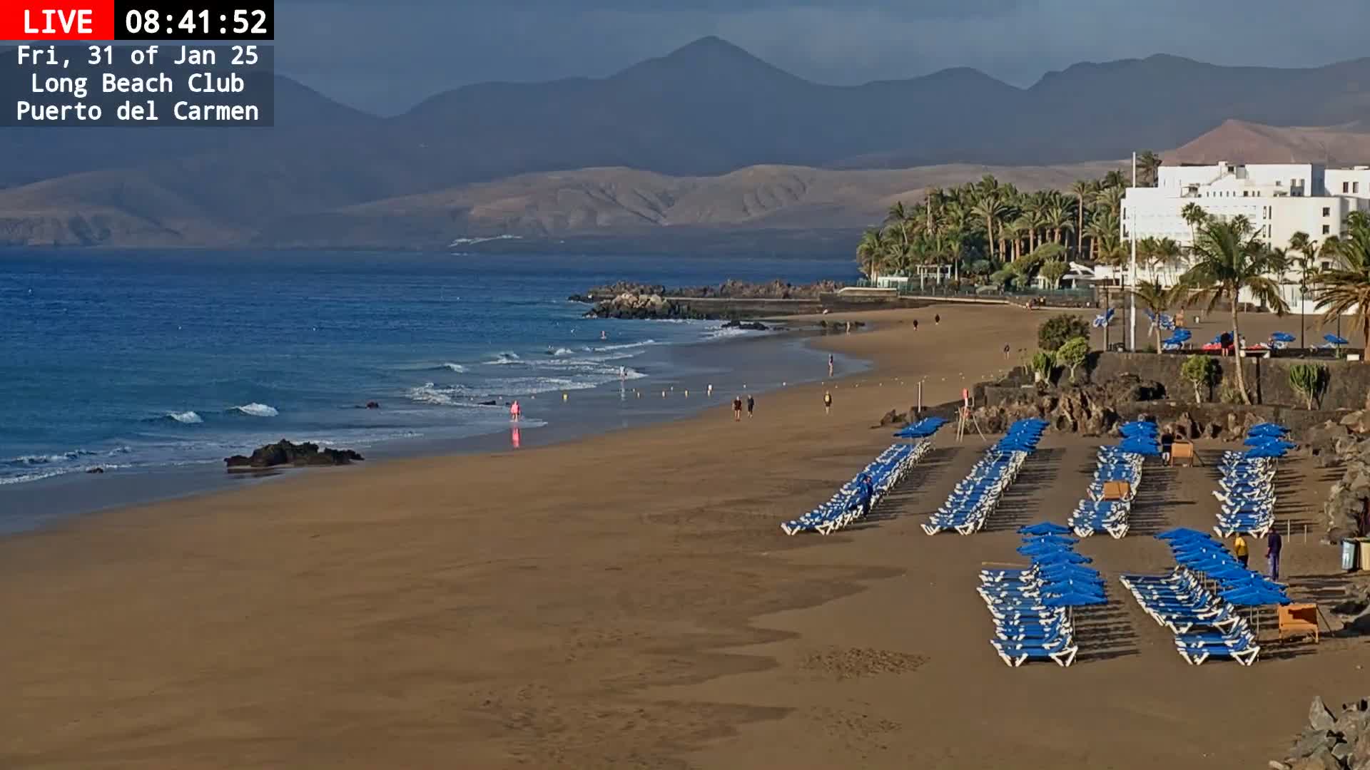 A sandy beach with rows of blue umbrellas and lounge chairs stretches along a calm ocean under a mostly clear sky, backed by mountains and a hotel.