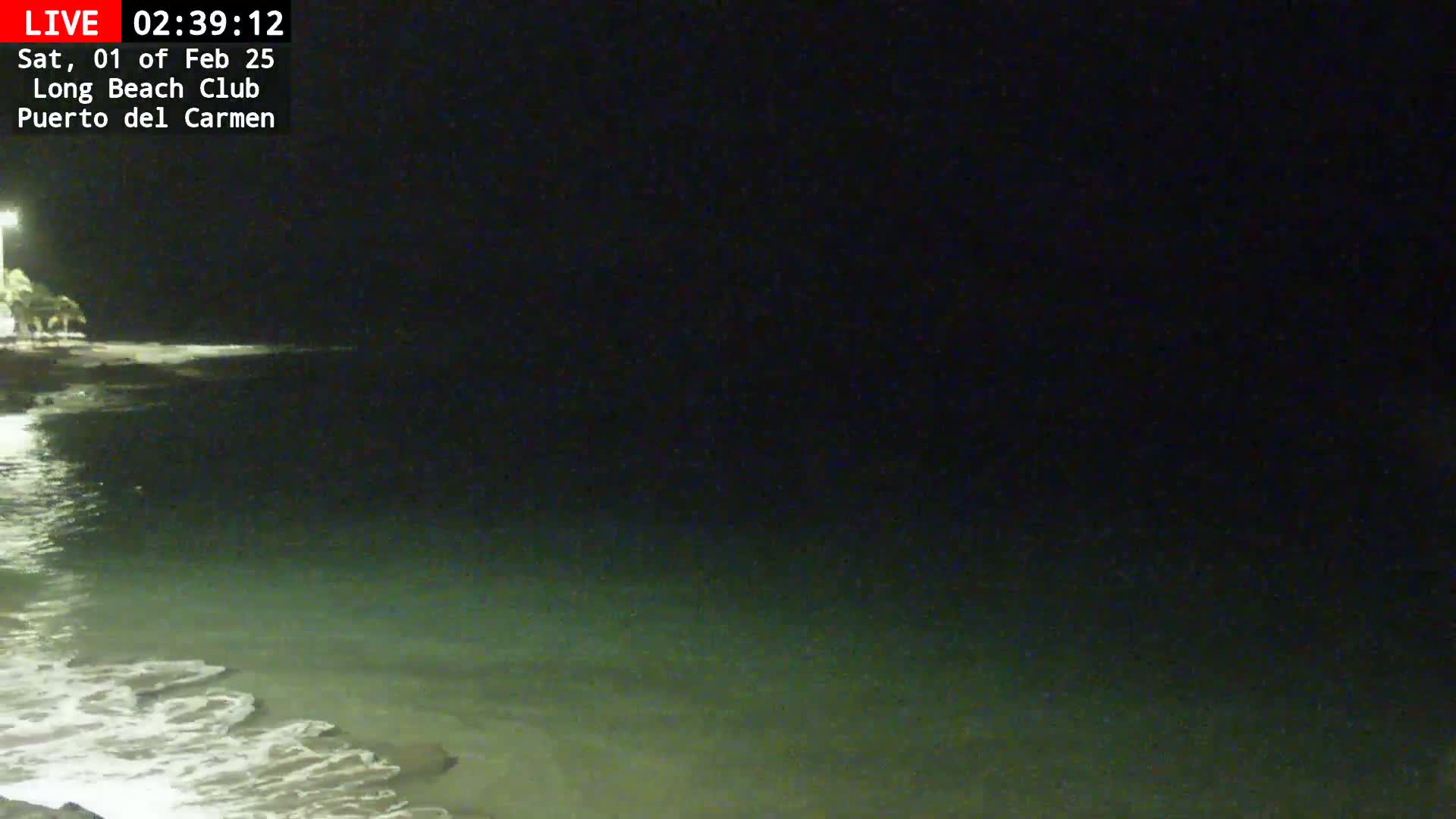 A dark nighttime beach scene shows a calm, shallow ocean with gentle waves lapping the shore under a clear, starless sky.