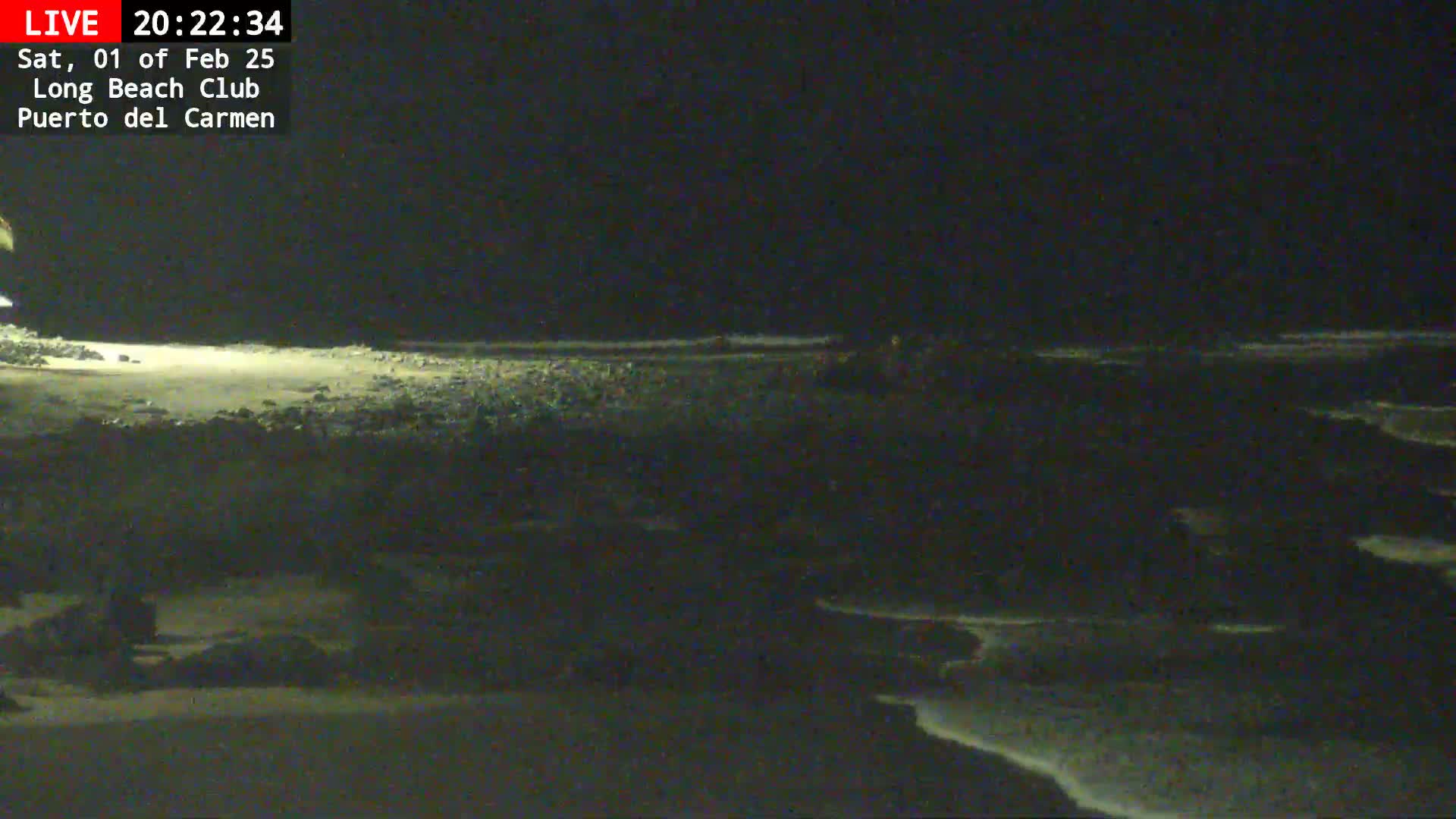 A dark, nighttime beach scene shows gently lapping waves on a rocky shoreline under a clear sky.
