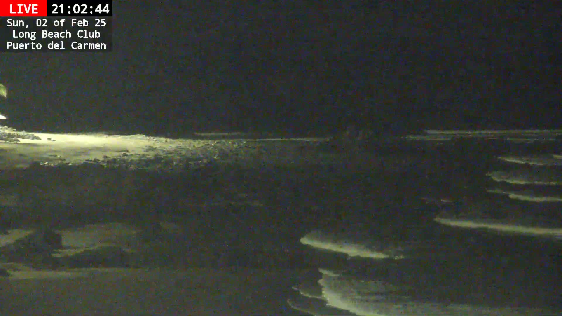 A dark nighttime beach scene shows gently rolling waves lapping the shore under a clear, moonlit sky.