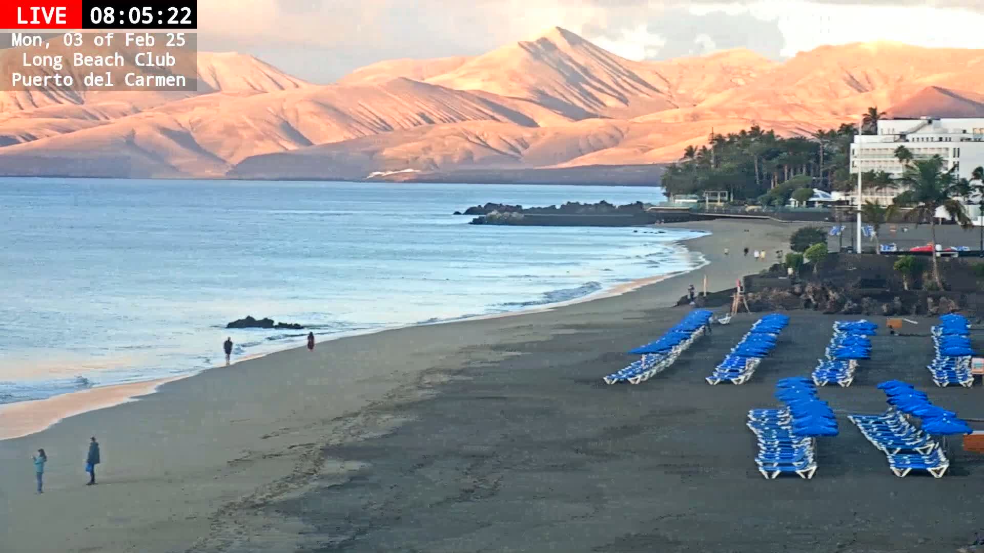 A dark-sand beach with rows of blue lounge chairs and umbrellas stretches along a calm ocean under a mostly clear sky, with sunlit mountains in the background.
