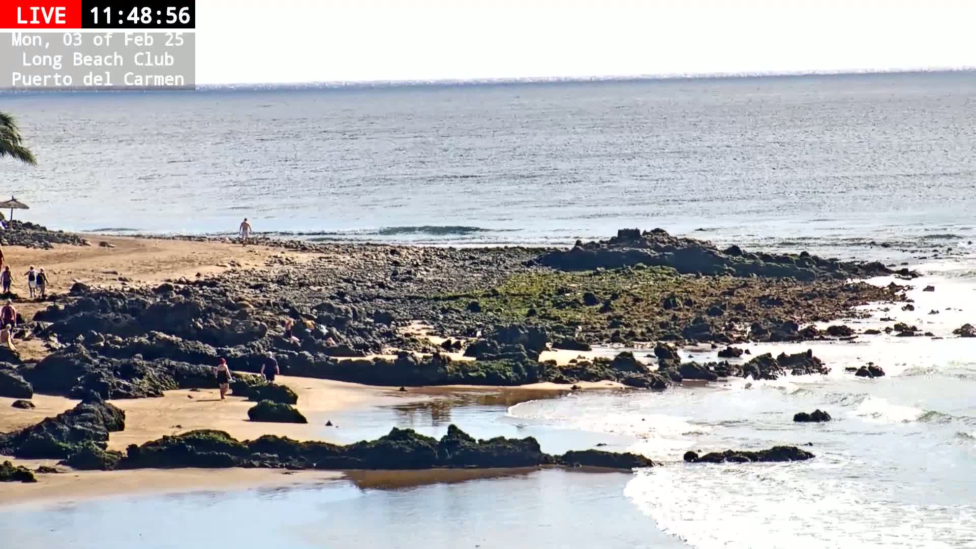 A sandy beach with dark rocks and patches of green algae is partially submerged at low tide, with a calm ocean extending to the horizon under a bright, sunny sky.