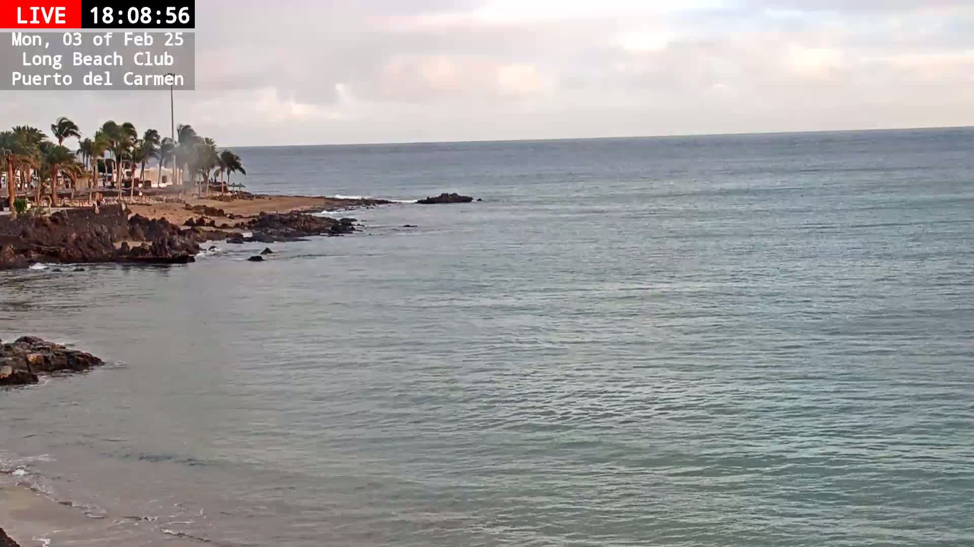 A calm, overcast day shows a rocky shoreline with palm trees and a beach, leading to a relatively calm ocean.