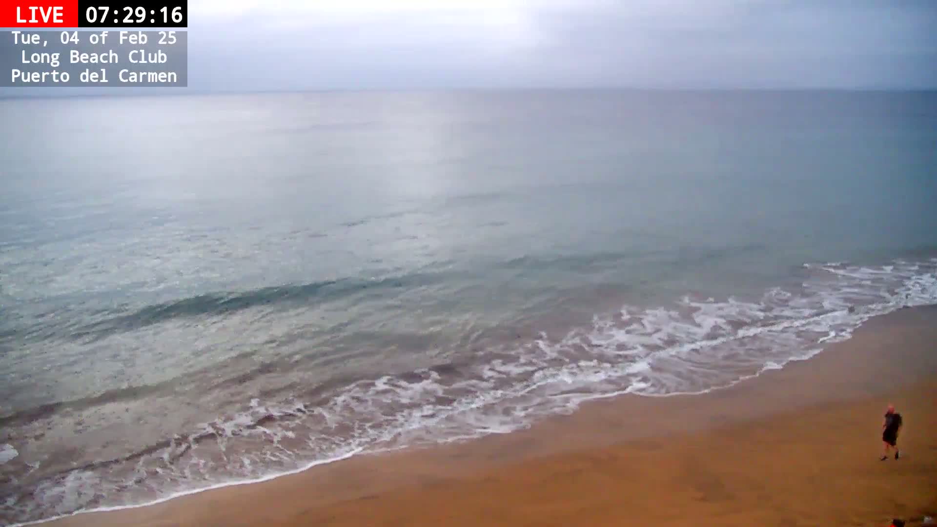 A person walks on a sandy beach with gently lapping waves under an overcast sky.