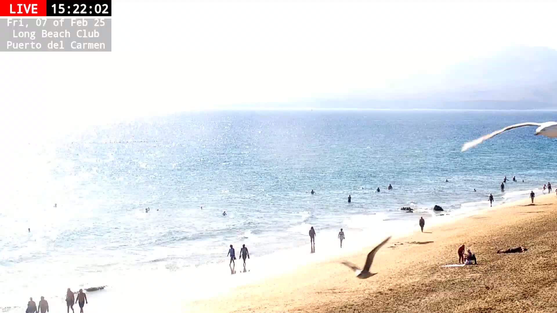 Lanzarote, Puerto del Carmen Beach Live Cam - Canary Islands, Las Palmas, Spain