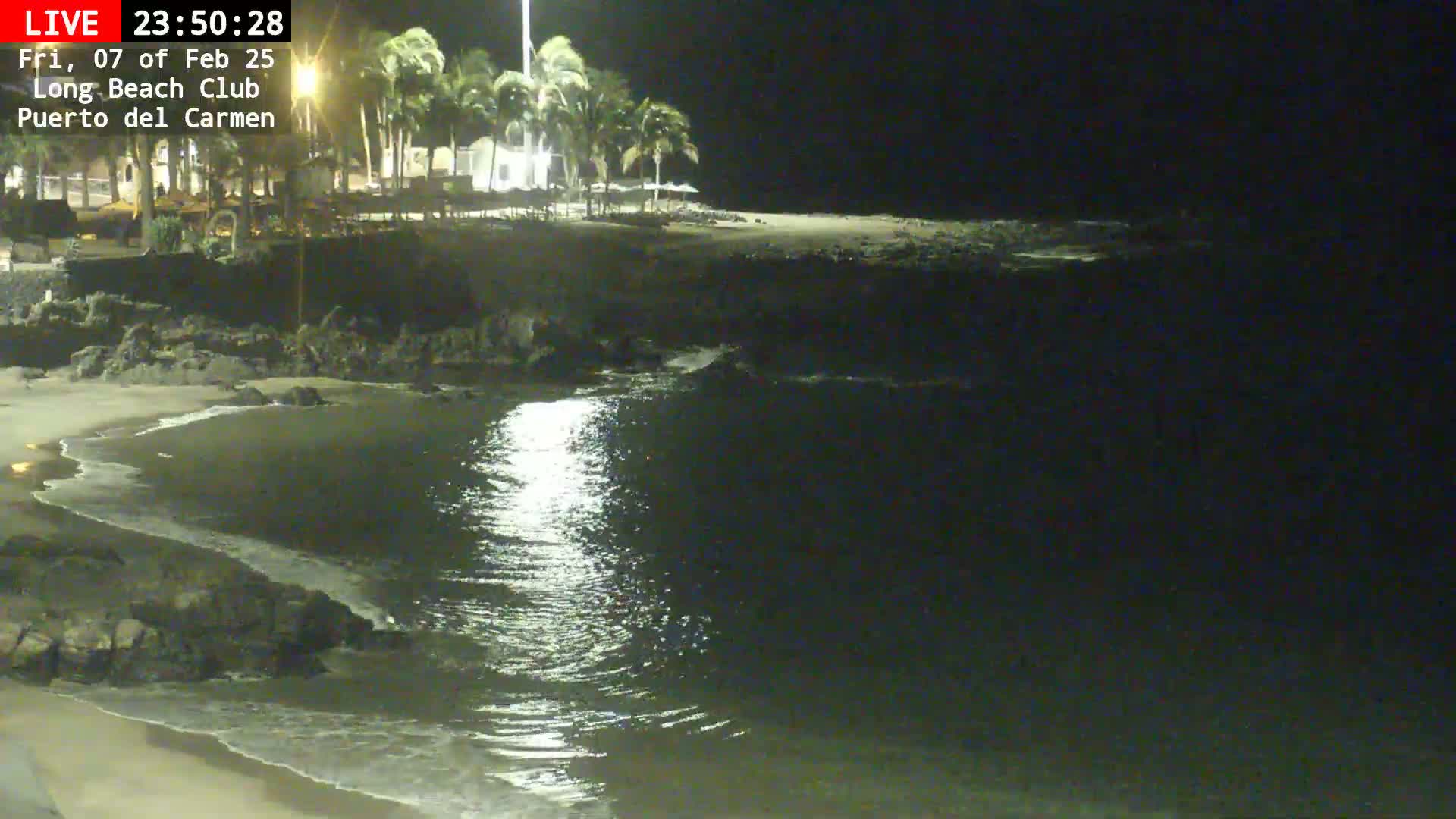 A nighttime beach scene shows a calm ocean reflecting moonlight, with a sandy shore and palm trees visible in the background under a clear, dark sky.