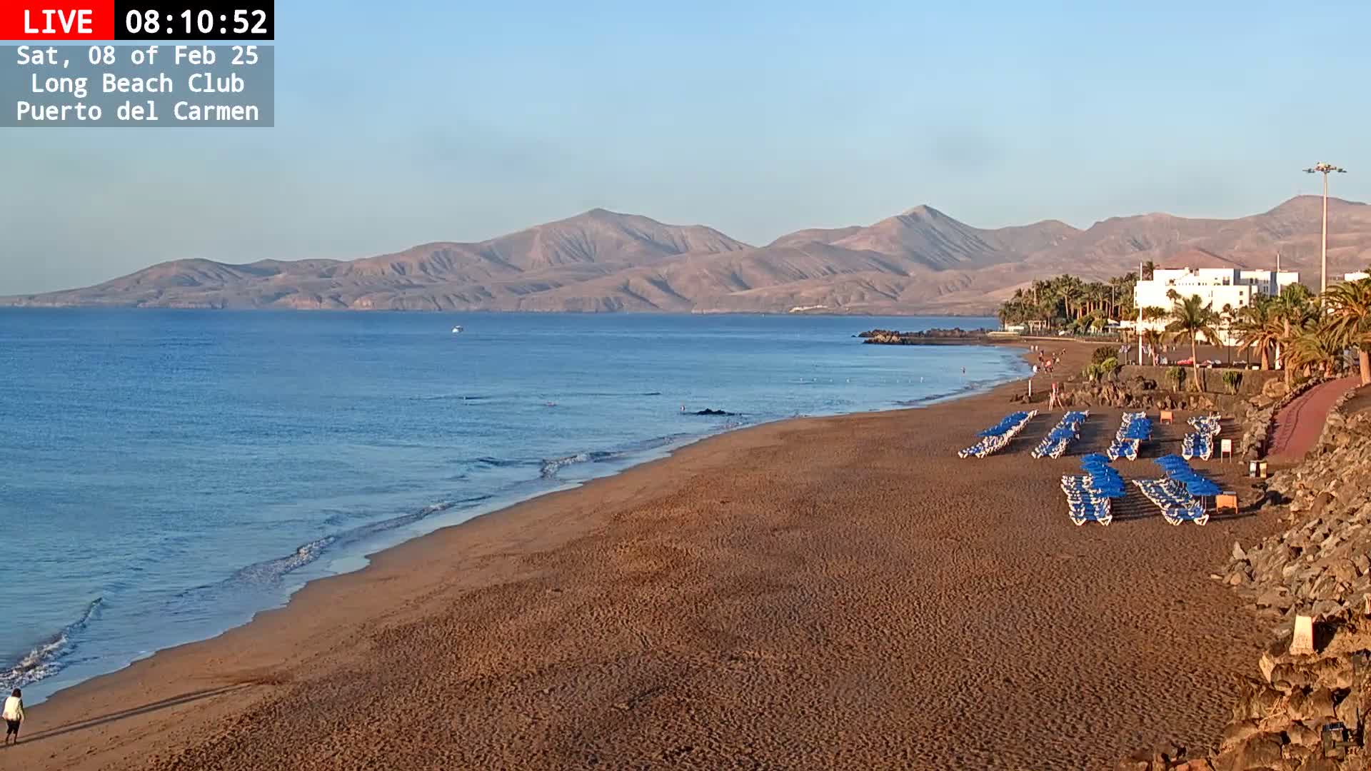 A sandy beach with rows of blue lounge chairs and umbrellas stretches towards a calm ocean under a clear, bright sky, backed by distant mountains.