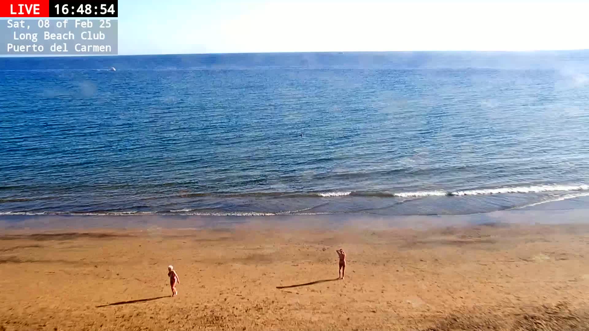 Two people stand on a sandy beach next to a calm, blue ocean under a clear sky.