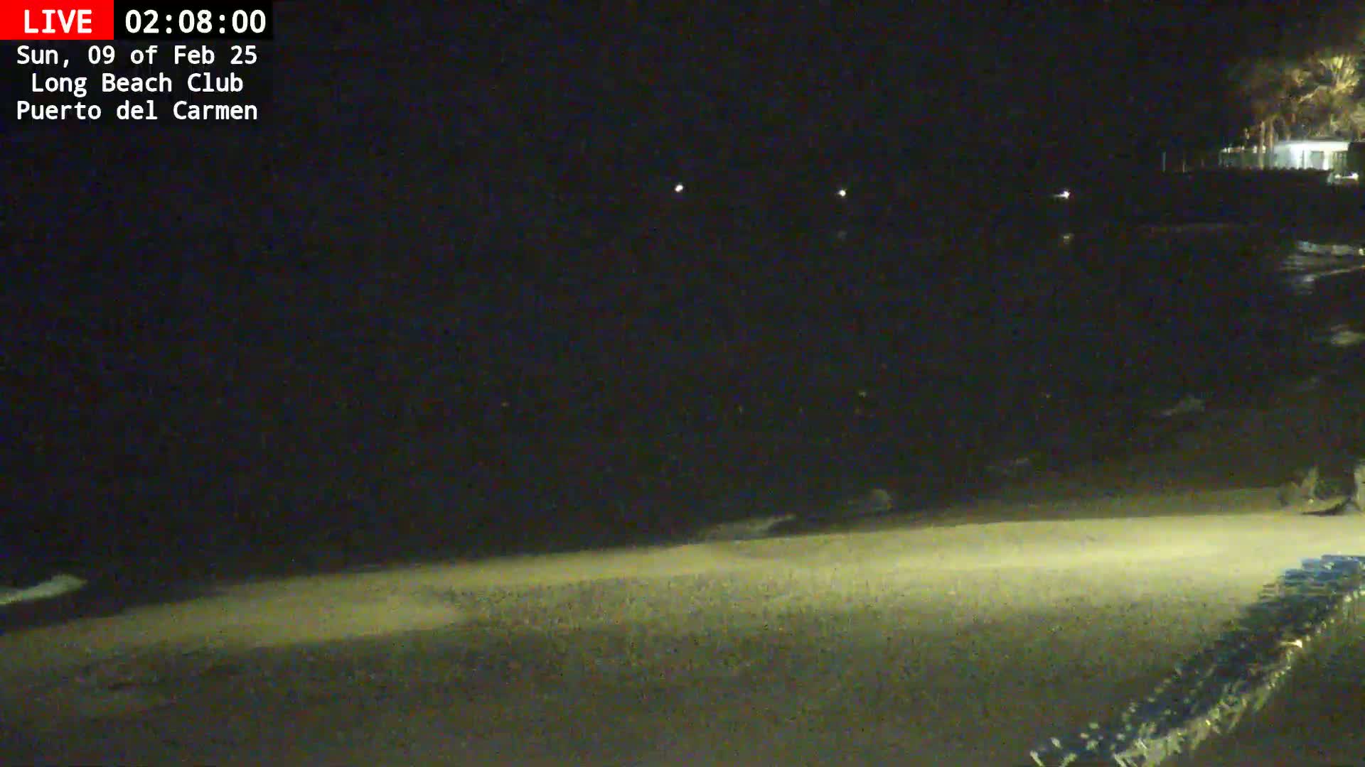 A dark, nighttime beach scene shows a sandy shore and calm water under a clear sky.