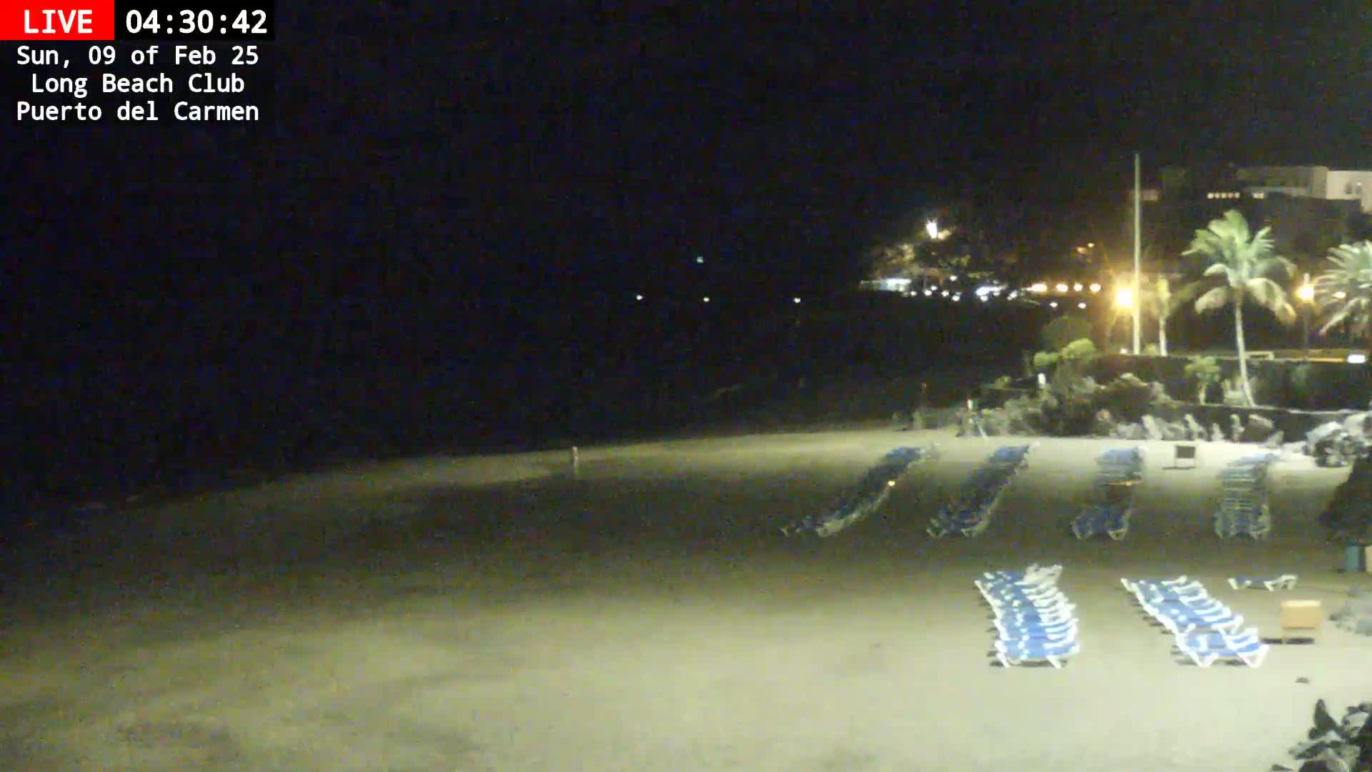 Rows of empty lounge chairs sit on a sandy beach at night under a dark sky.