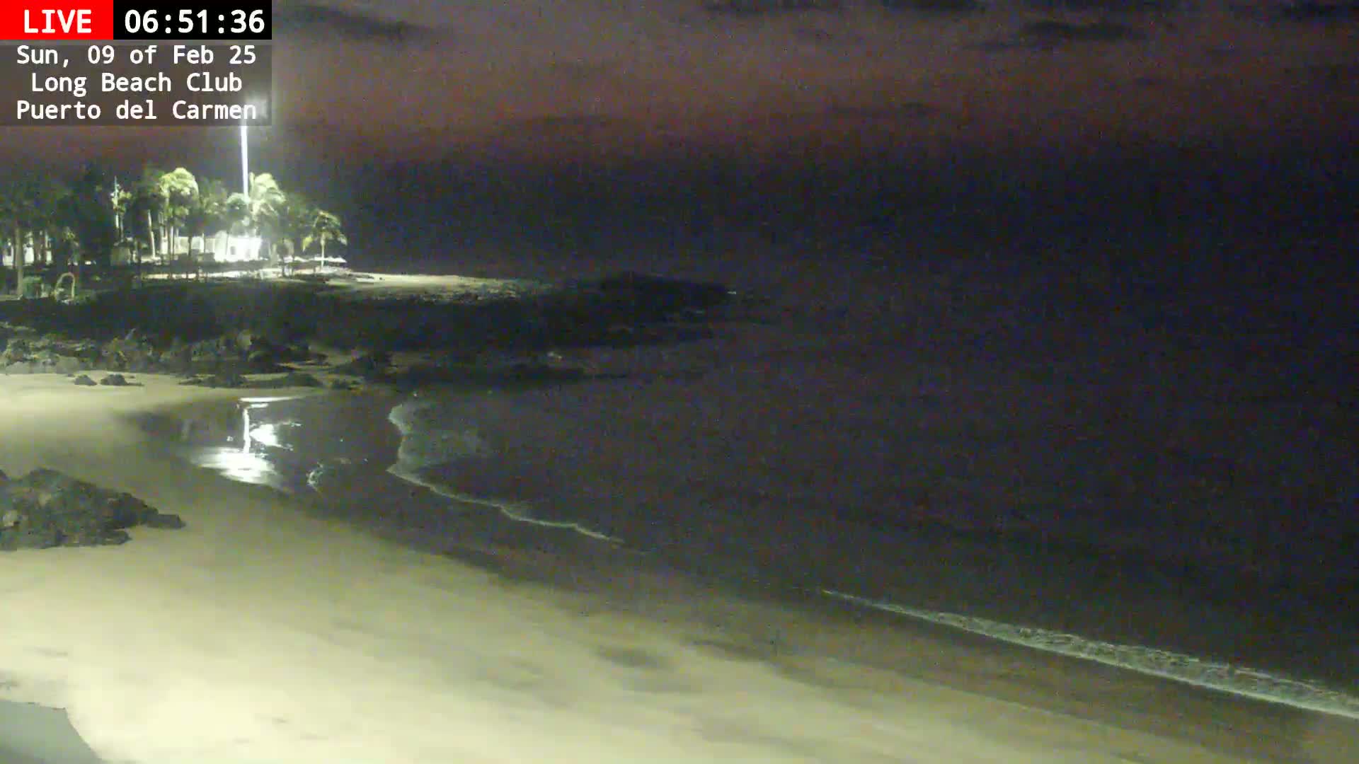 A dark, nighttime beach scene shows gently lapping waves on a sandy shore, lit by a bright light source near some palm trees.