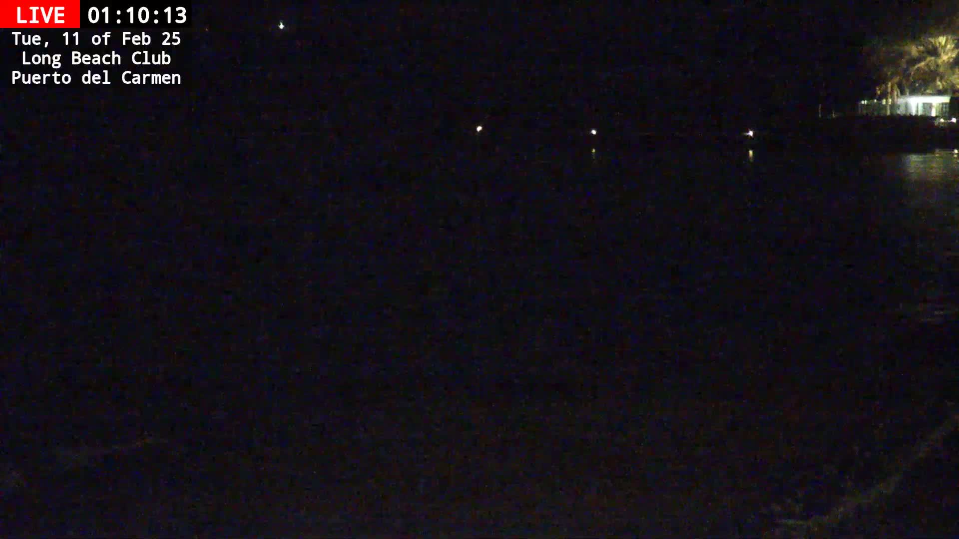 A dark nighttime scene shows a body of water with a few distant lights, and a dark shoreline with some vegetation.