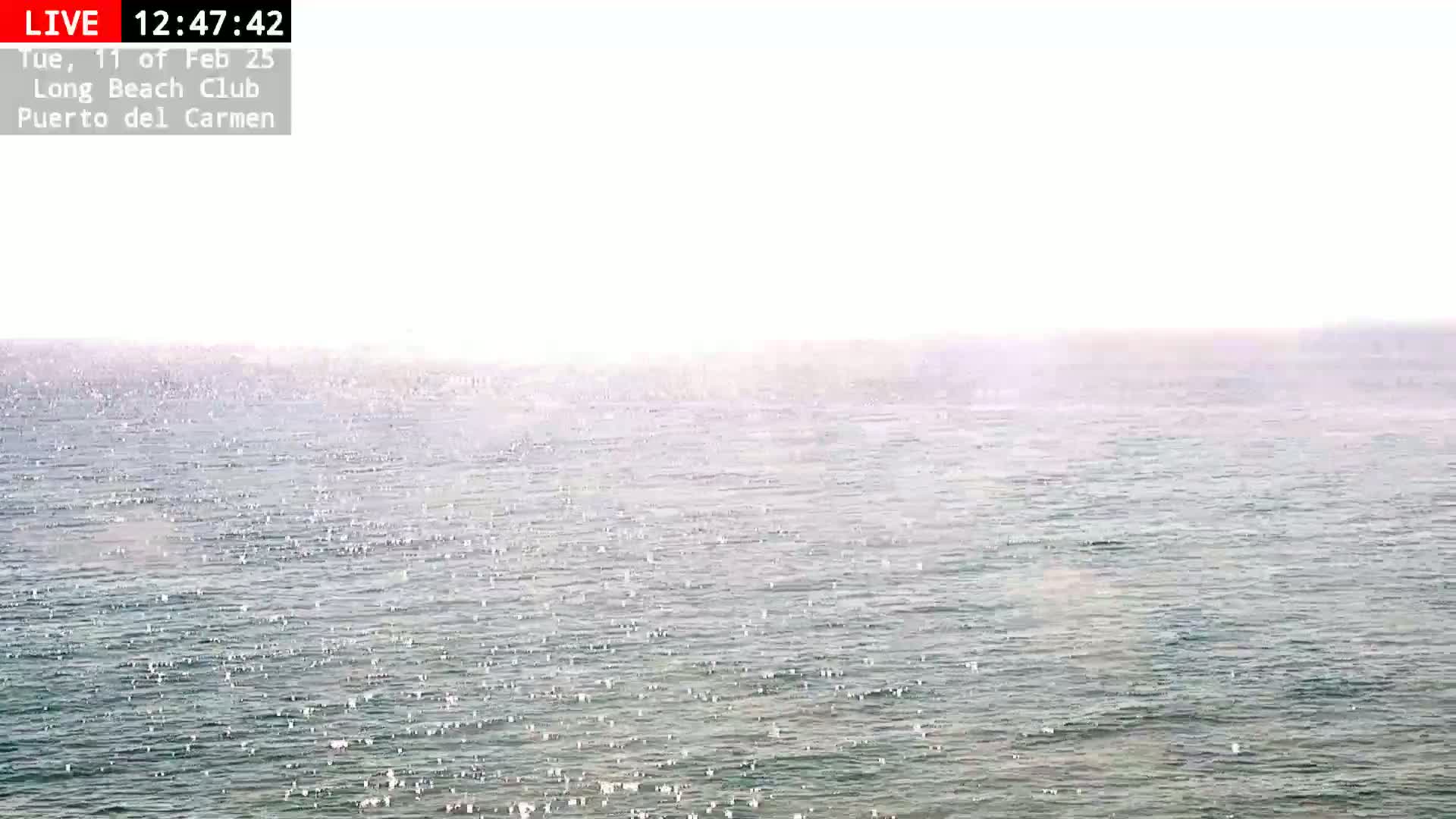 A calm, slightly hazy ocean is visible under a bright, overcast sky.