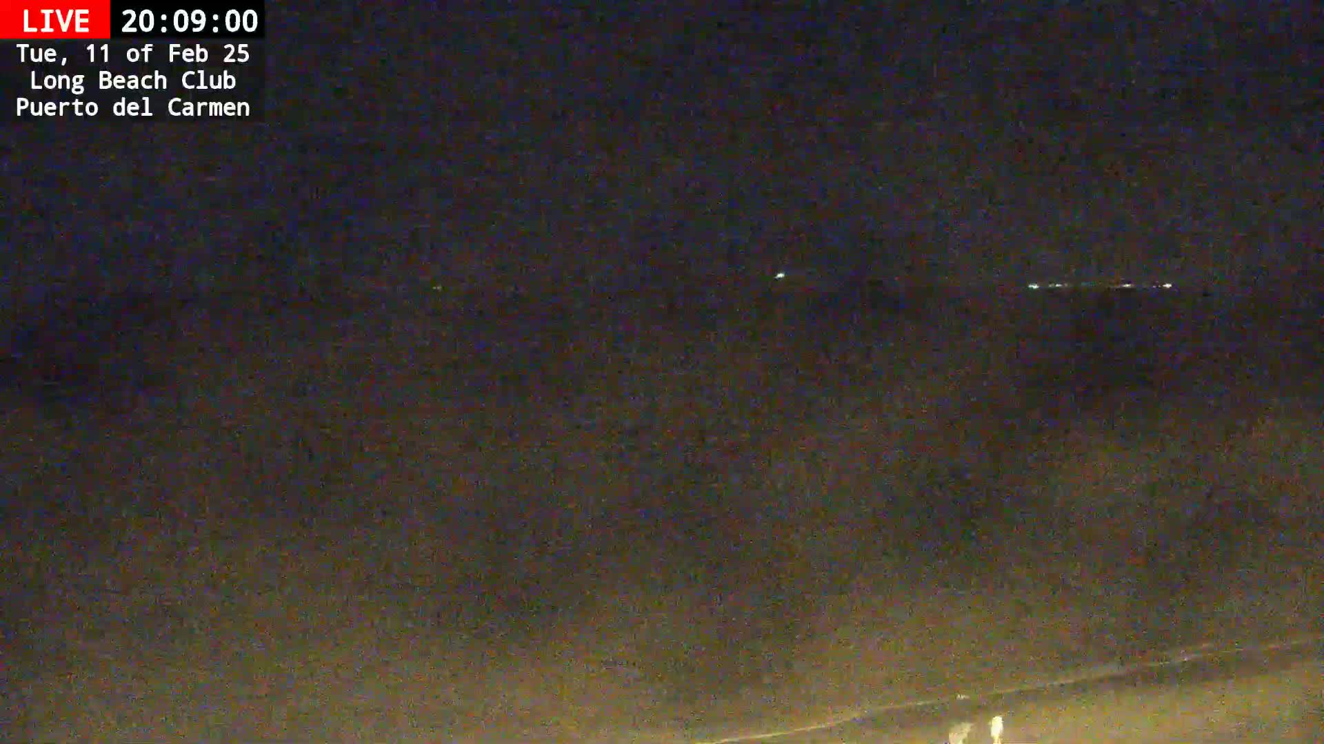 A nighttime, long-range view of a dark beach under a clear sky showing a few distant lights on the horizon.