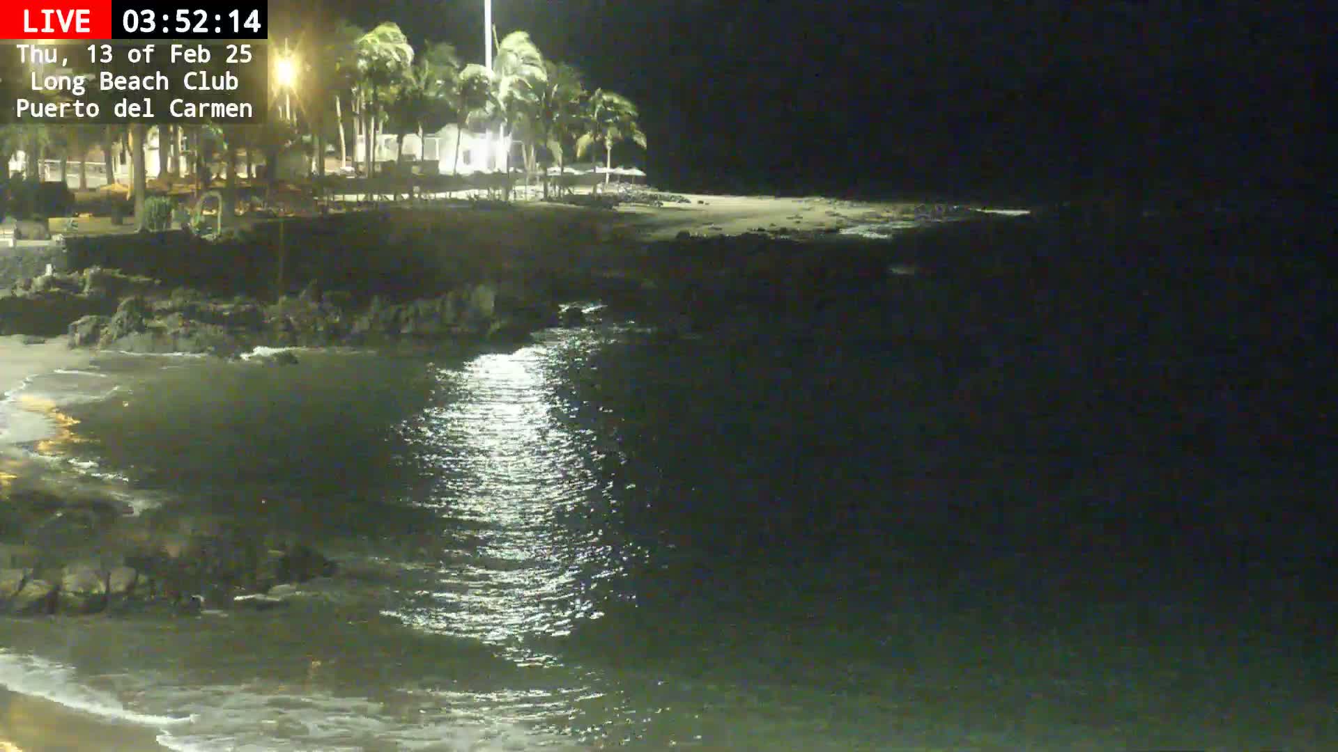 A nighttime beach scene shows calm water reflecting light, a dark sandy shore, and palm trees near buildings under a clear, dark sky.