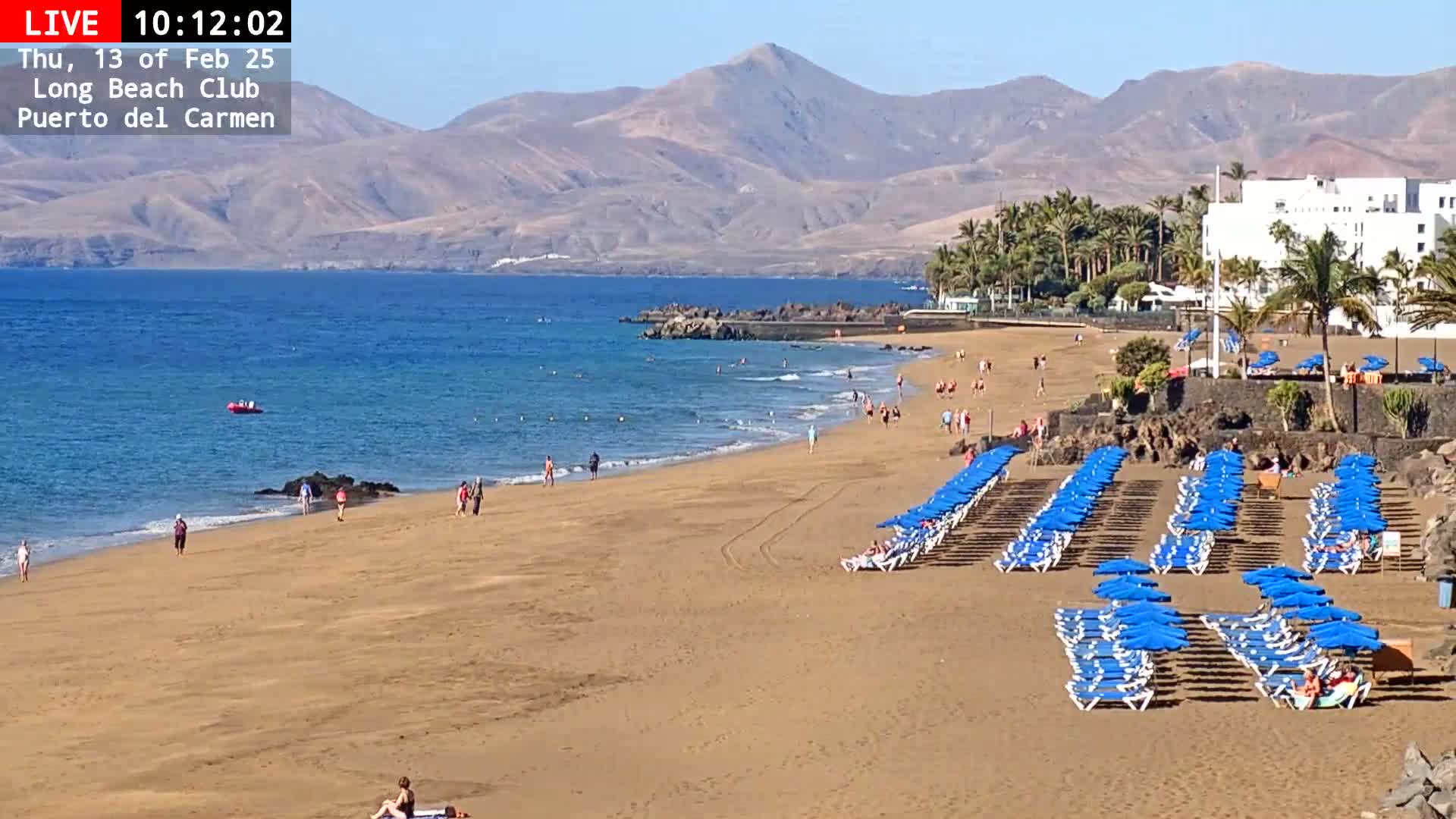 A sandy beach with numerous blue umbrellas and lounge chairs stretches along a calm ocean, backed by a line of palm trees, buildings, and mountains under a clear sky.