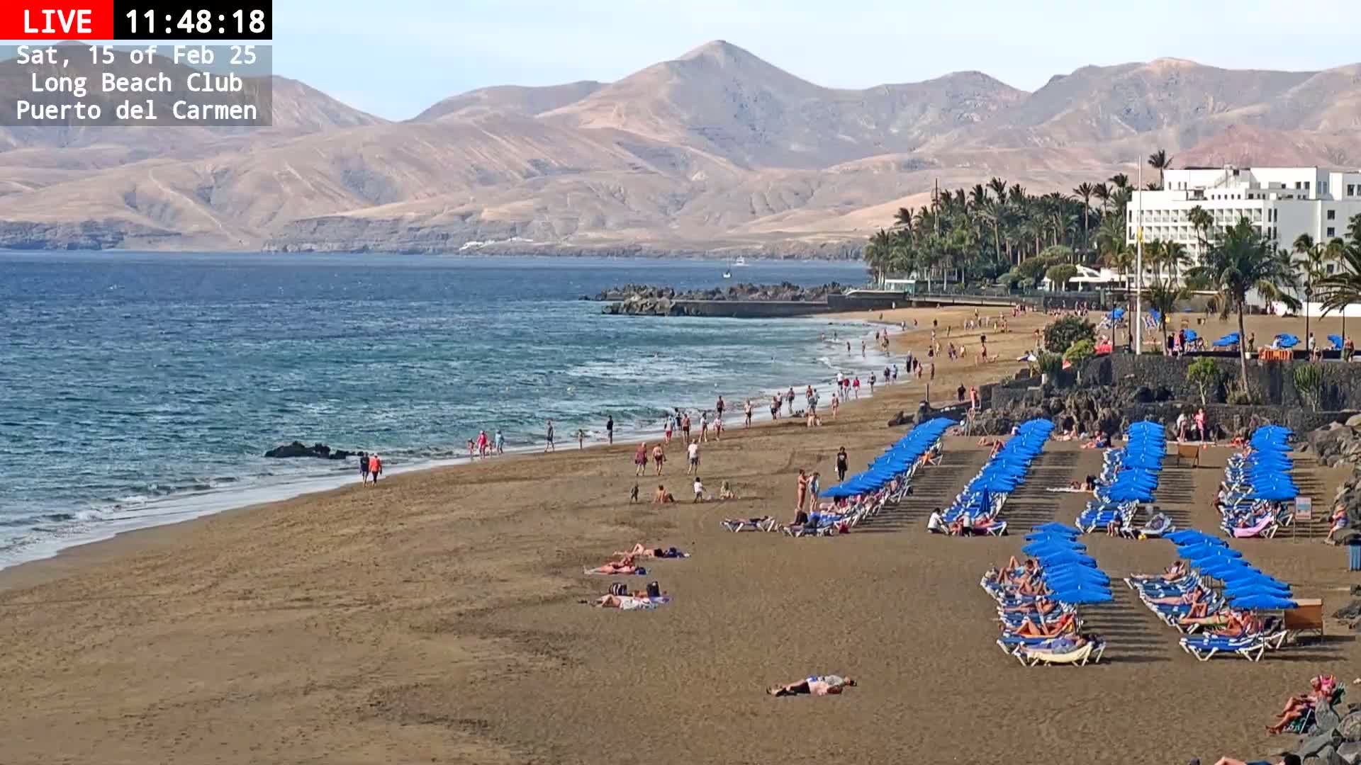 A sandy beach with numerous people sunbathing and swimming, lined with rows of blue umbrellas and lounge chairs, stretches out beneath a clear sky and mountains in the distance.