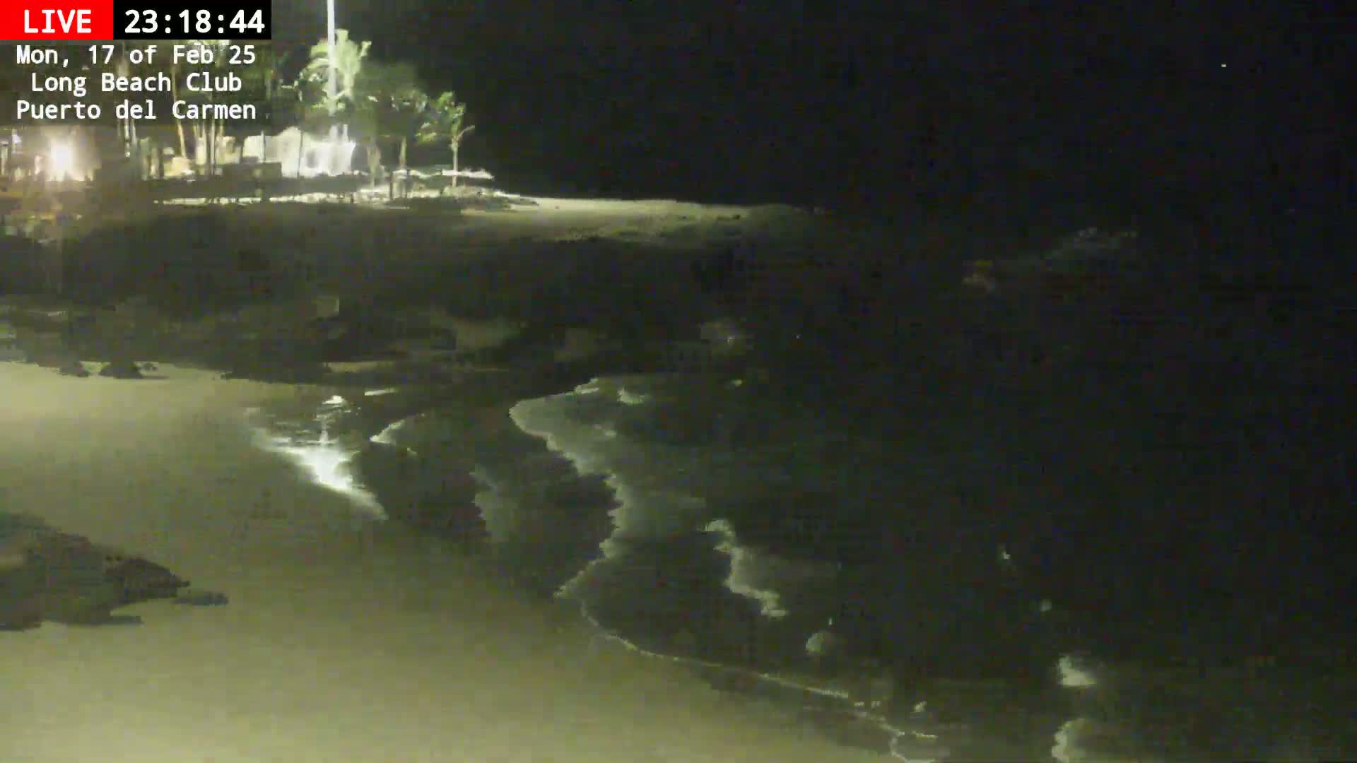 A dark, nighttime beach scene shows gentle waves lapping the shore near some palm trees and buildings.