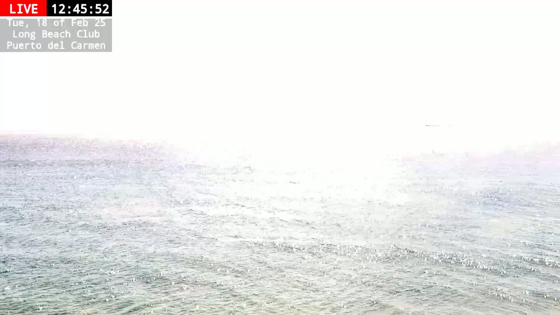 A somewhat hazy, bright, and mostly calm ocean is visible, with very slight waves.